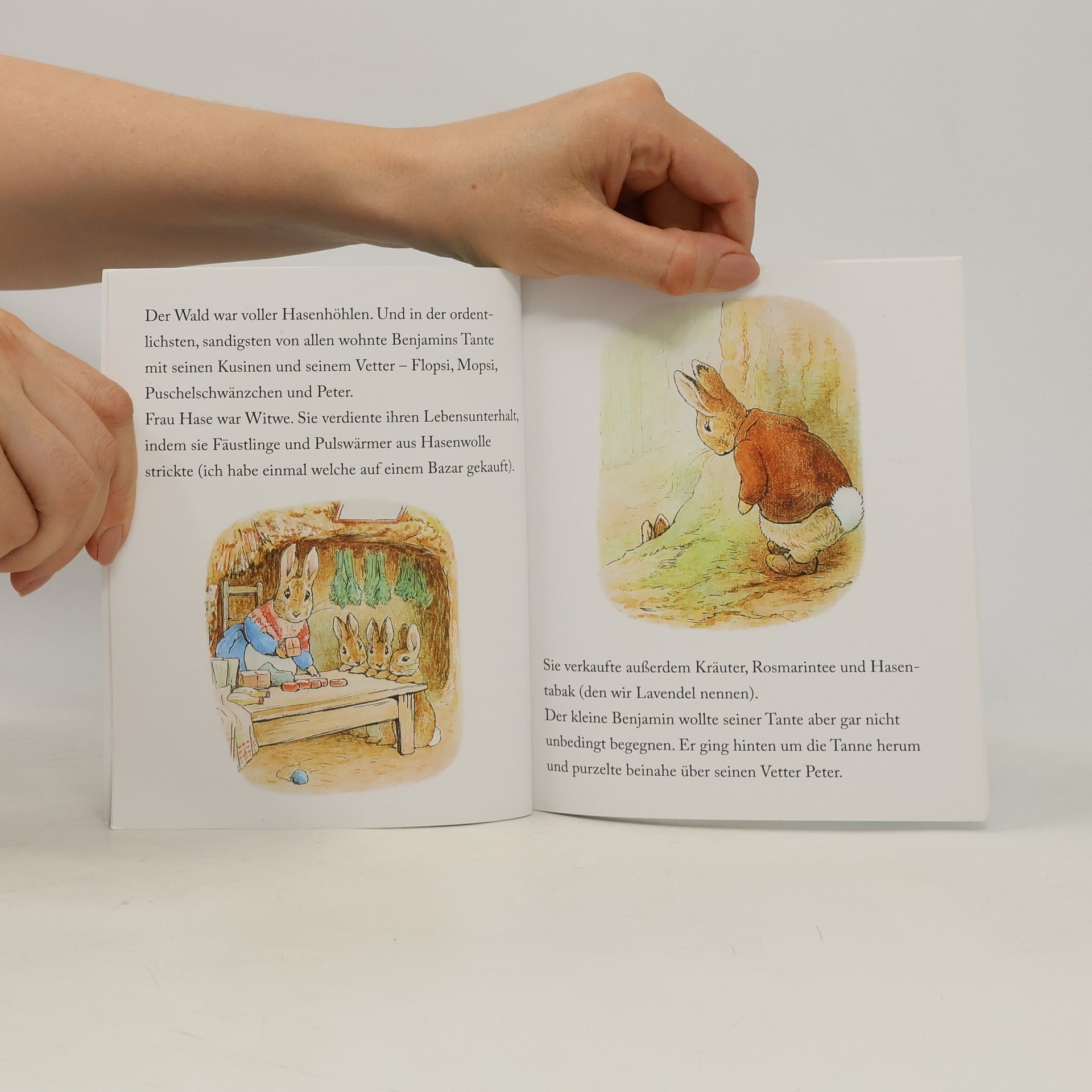 Beatrix Potter Die Geschichte von Benjamin Häschen