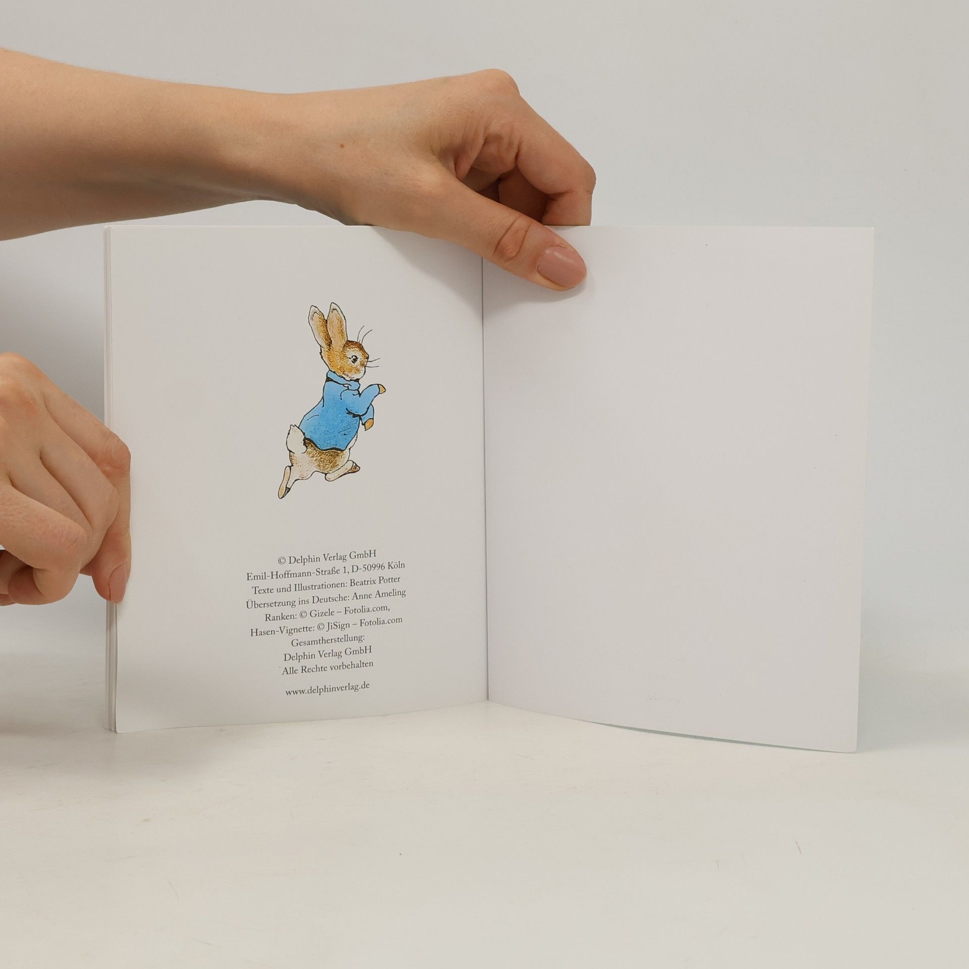 Beatrix Potter Die Geschichte von Benjamin Häschen