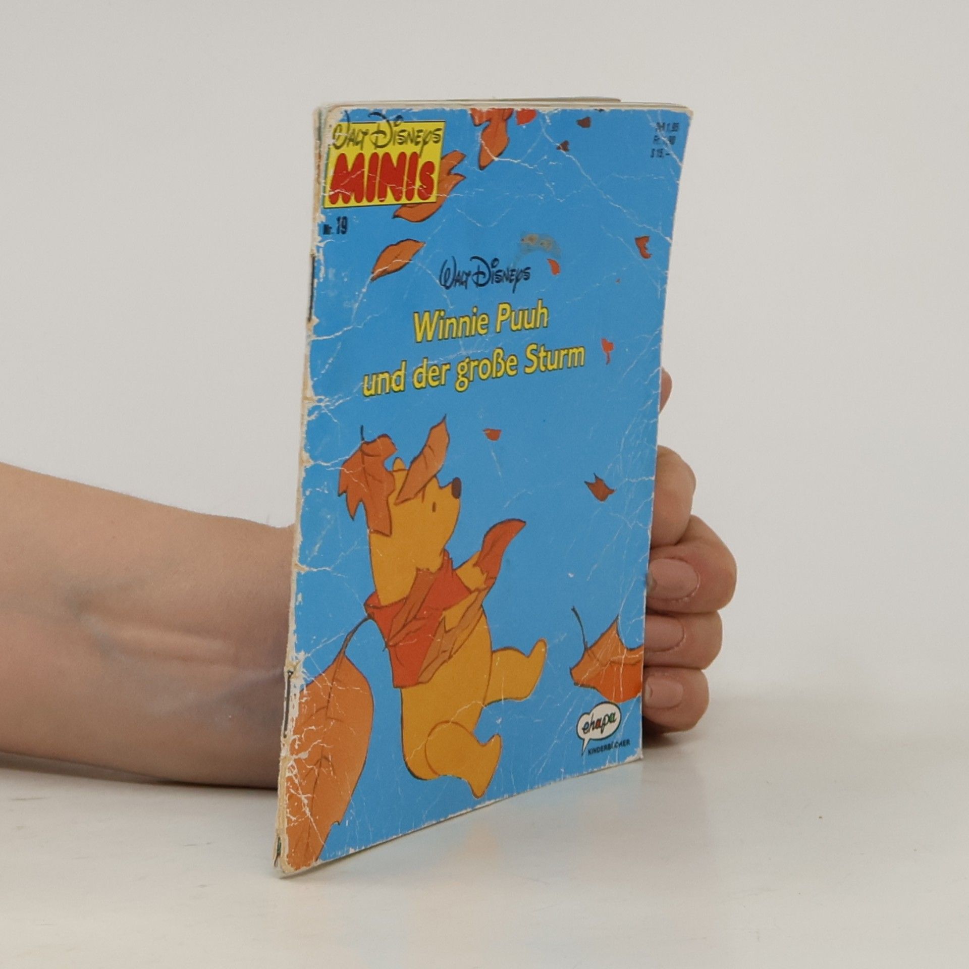 Autorenkollektiv Winnie Puuh und der grosse Sturm