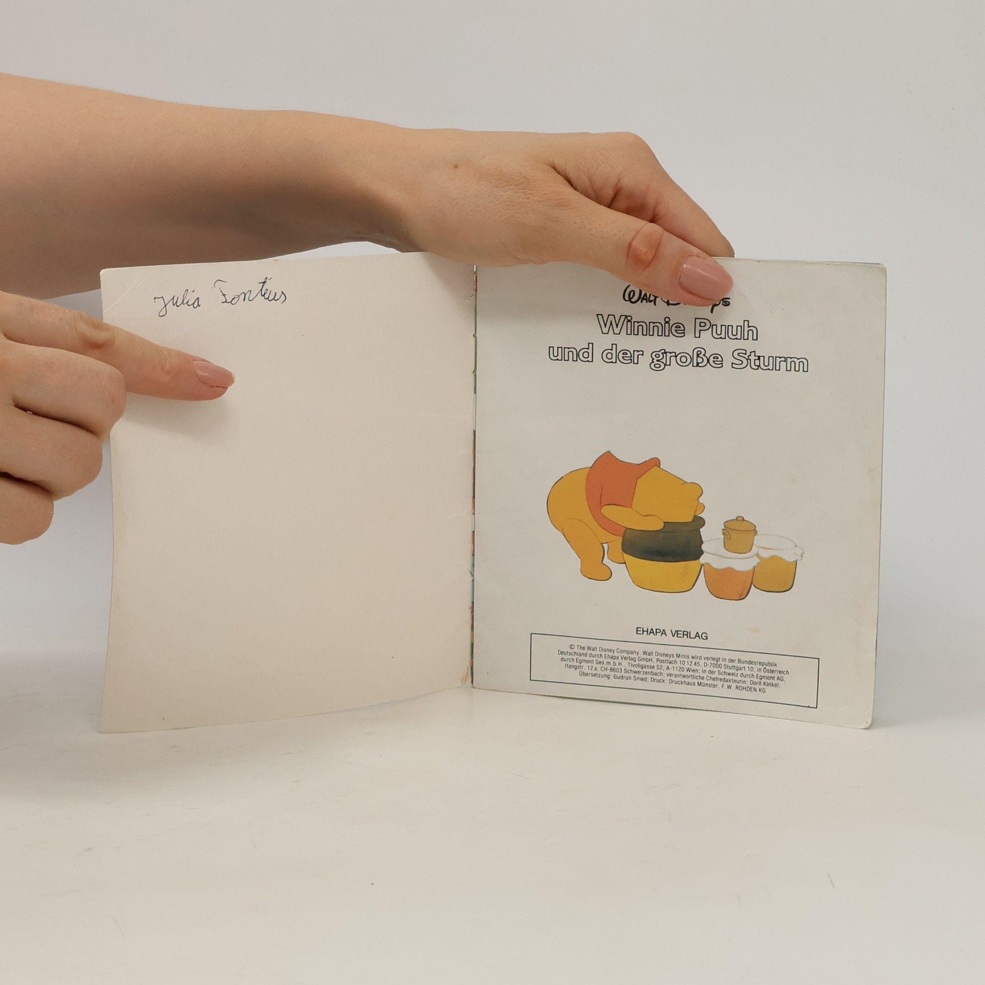 Autorenkollektiv Winnie Puuh und der grosse Sturm