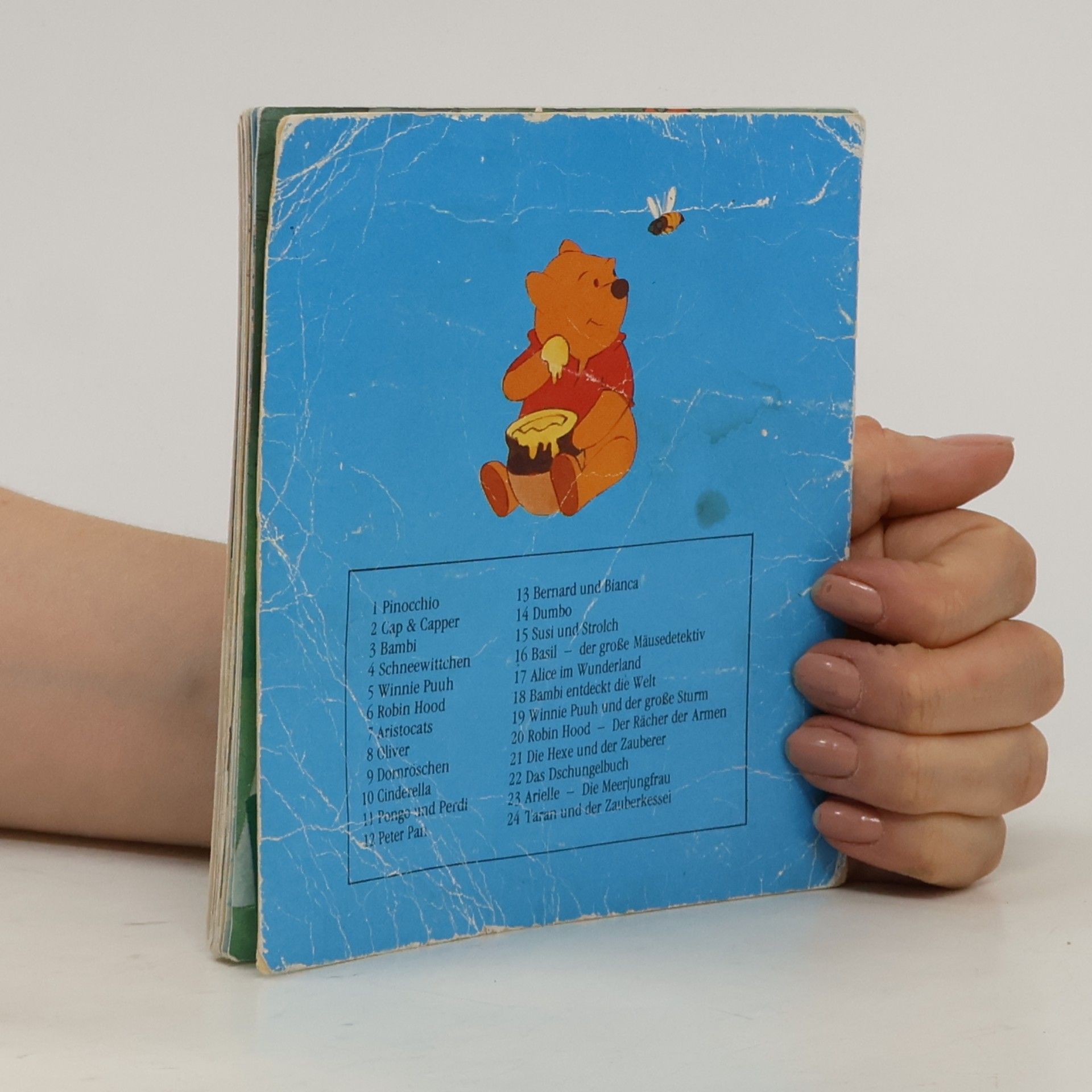 Autorenkollektiv Winnie Puuh und der grosse Sturm