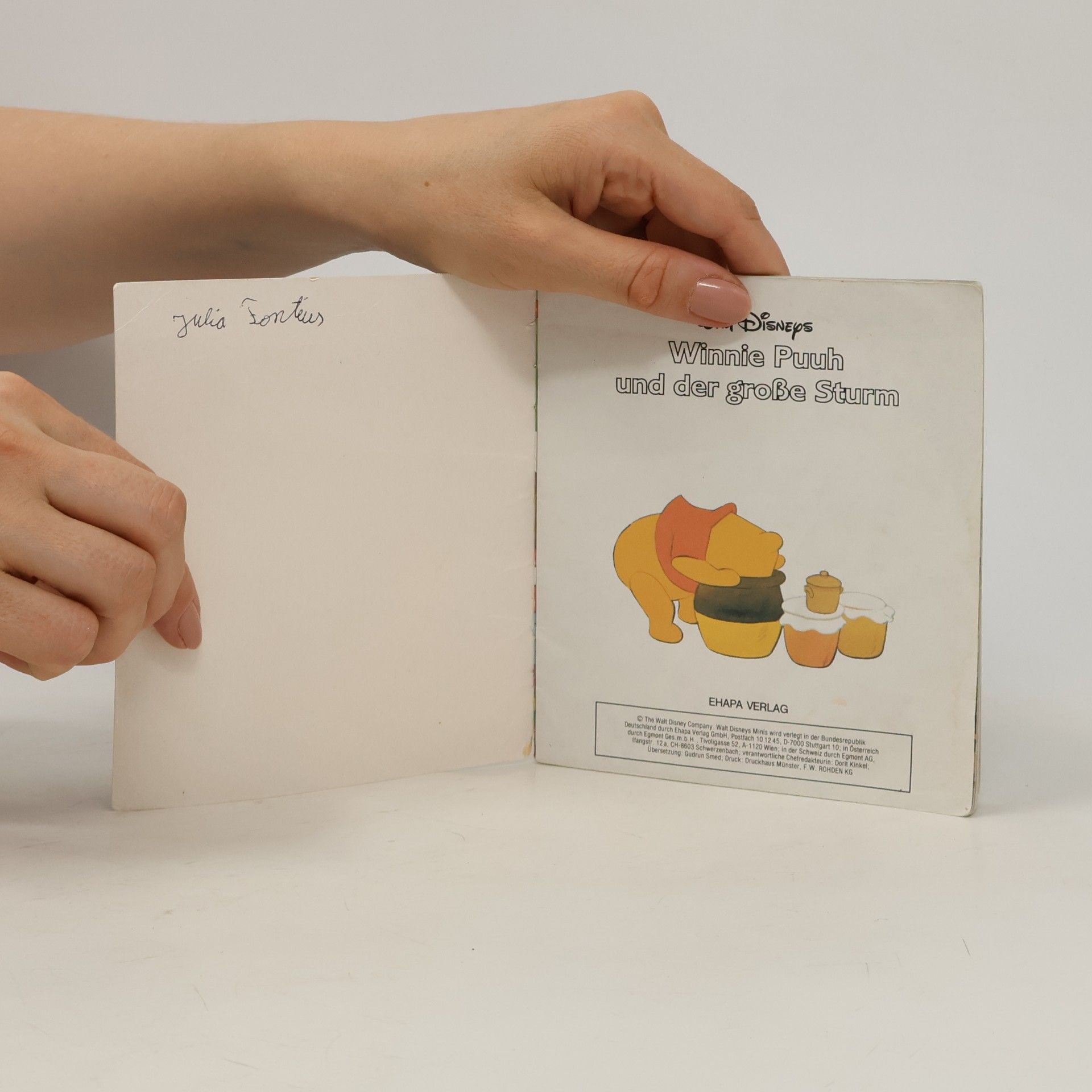 Autorenkollektiv Winnie Puuh und der grosse Sturm
