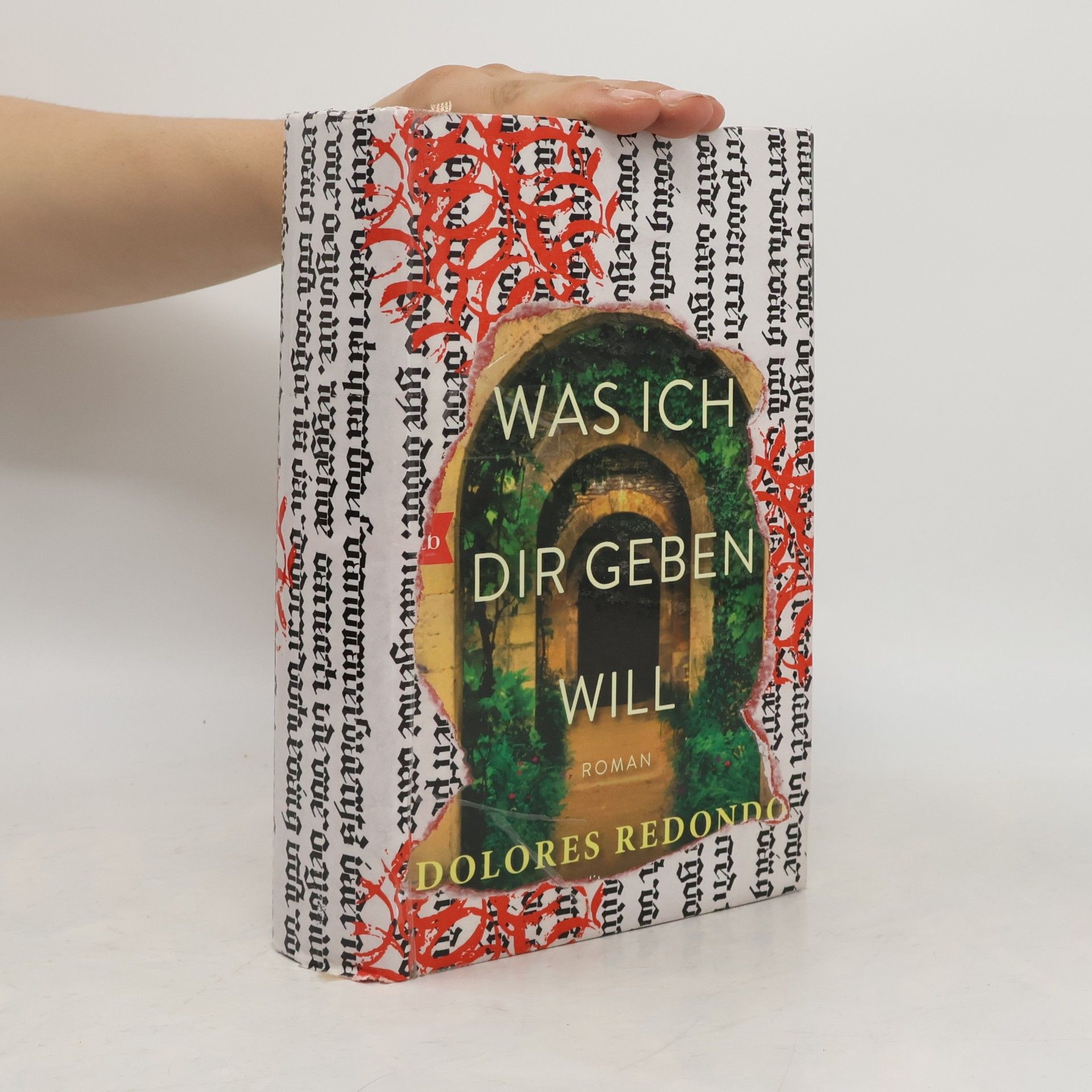 Dolores Redondo Alles was ich dir geben will