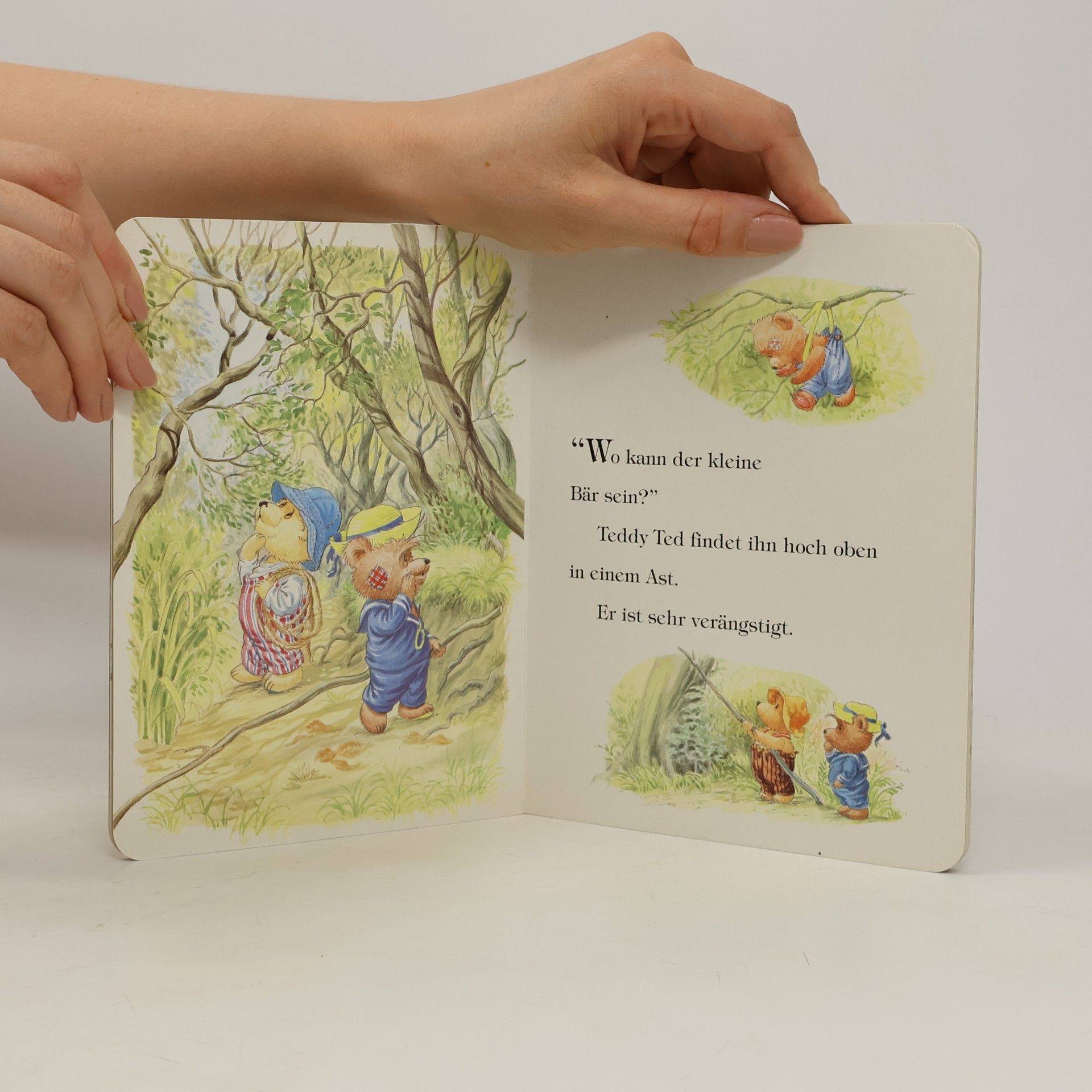 Autorenkollektiv Die Teddybären und die tollkühne Rettung