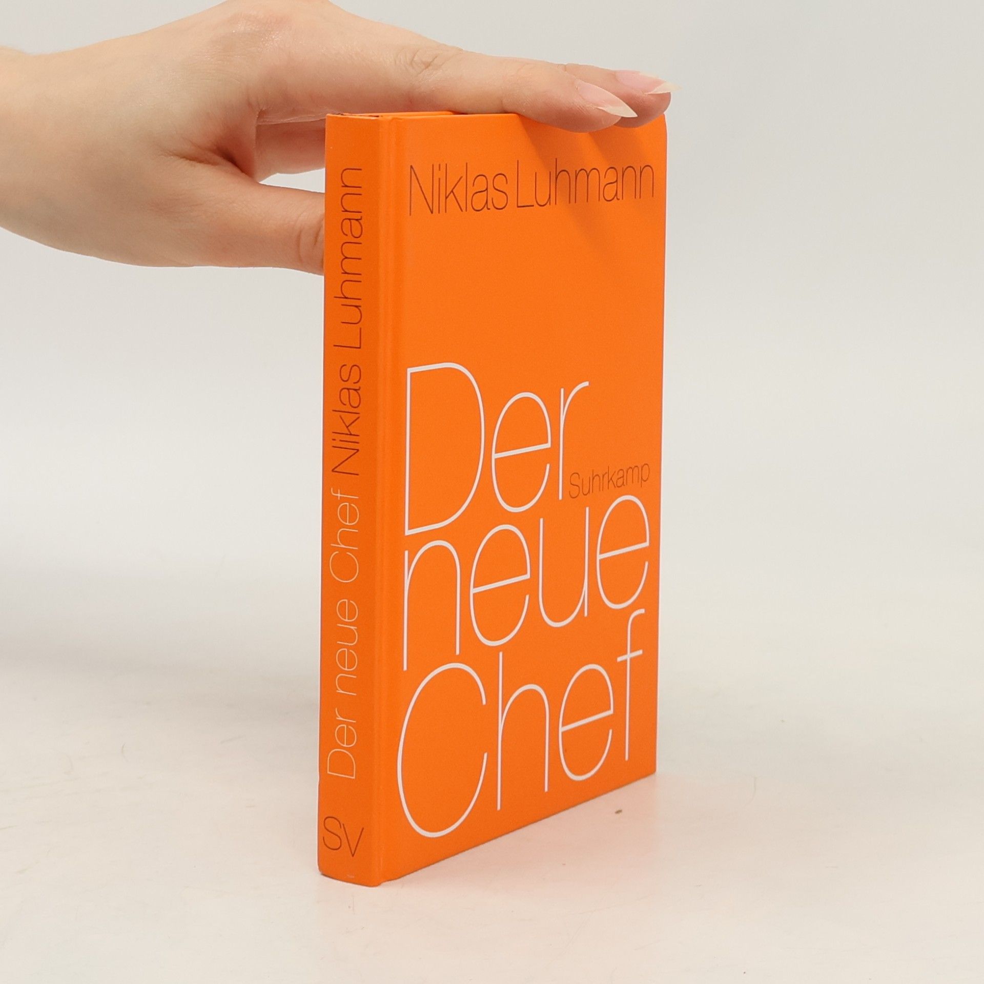 Niklas Luhmann Der neue Chef
