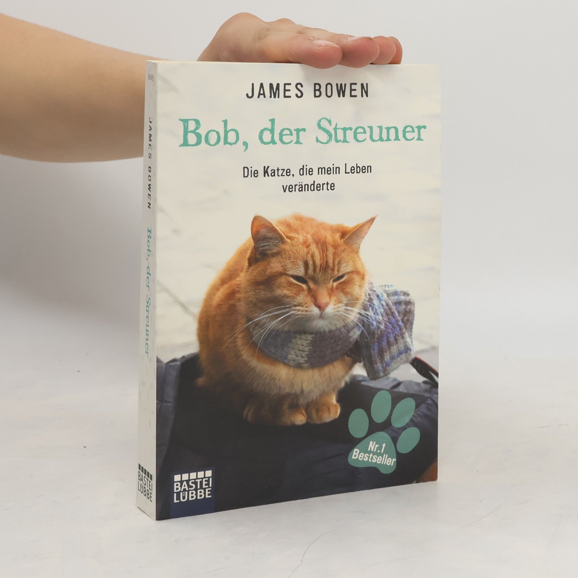 James Bowen Bob, der Streuner
