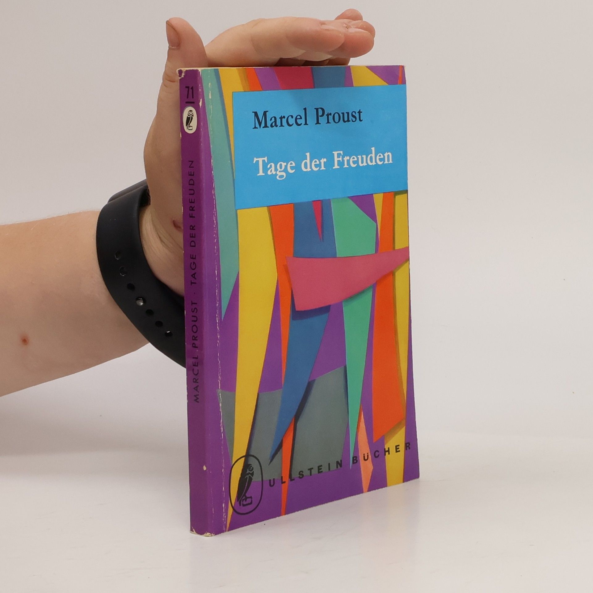 Marcel Proust Tage der Freuden