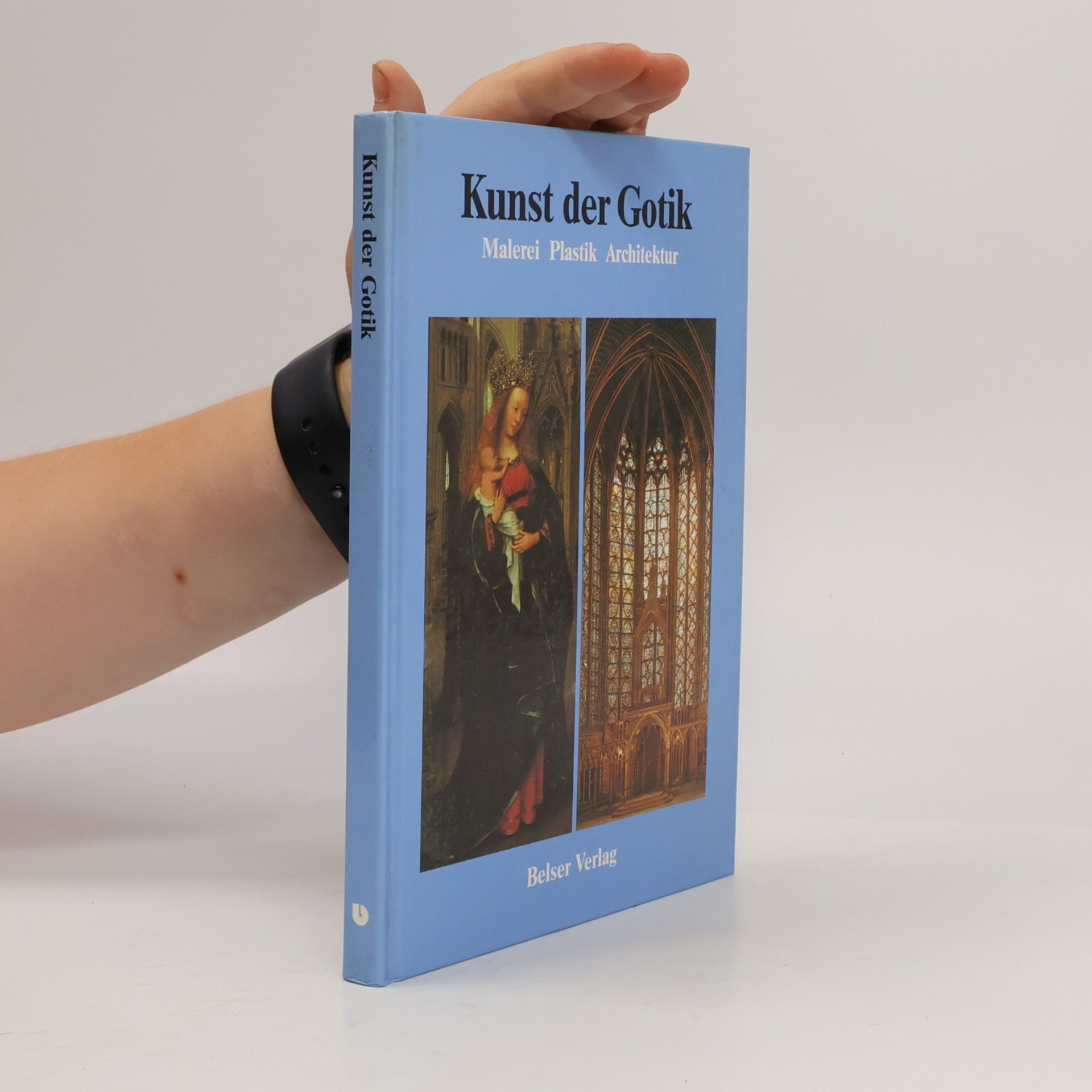 Florens Deuchler Kunst der Gotik