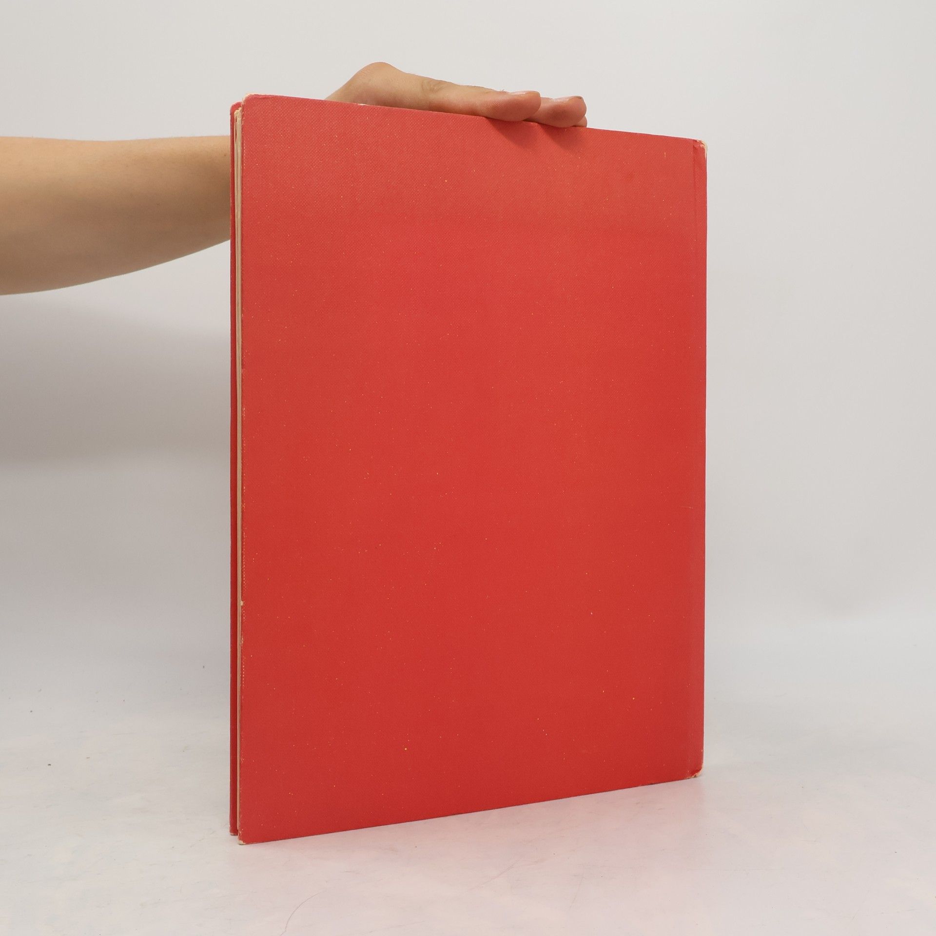 Maria Blumrich Burda-Strick-Lehrbuch