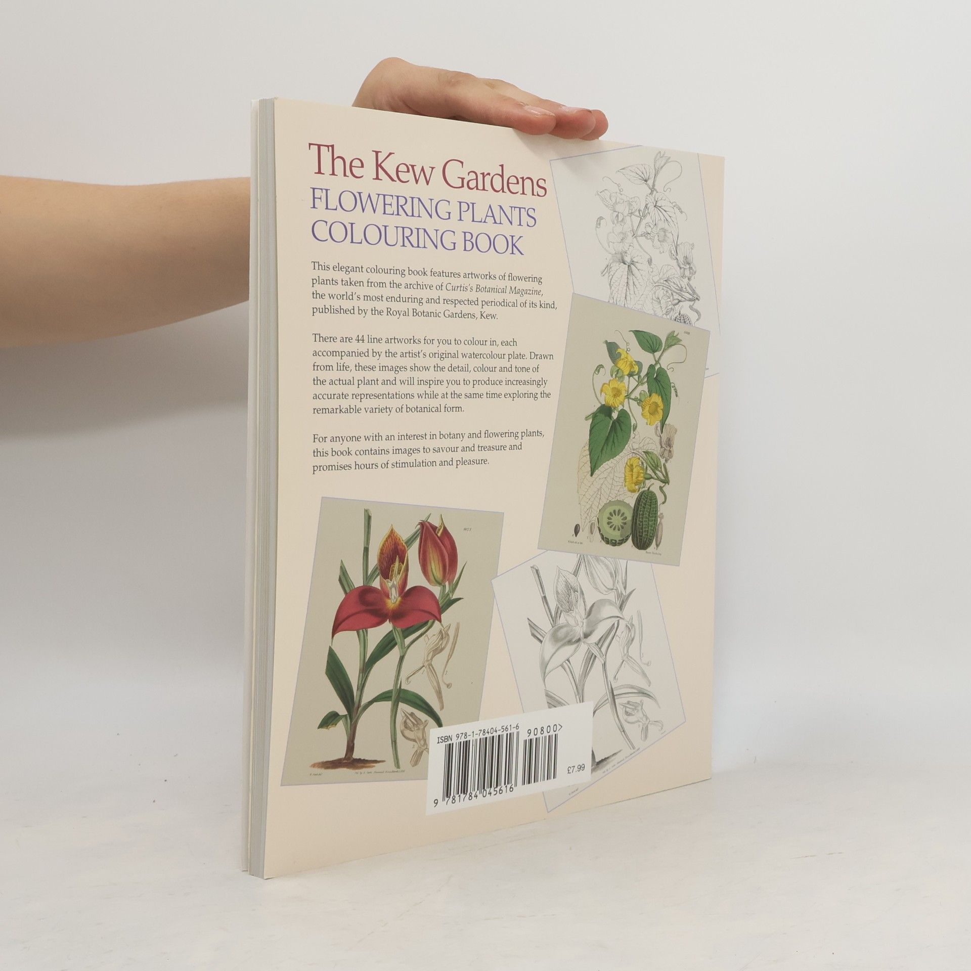 Arcturus Publishing The Kew Gardens Flowering Plants Colouring Book