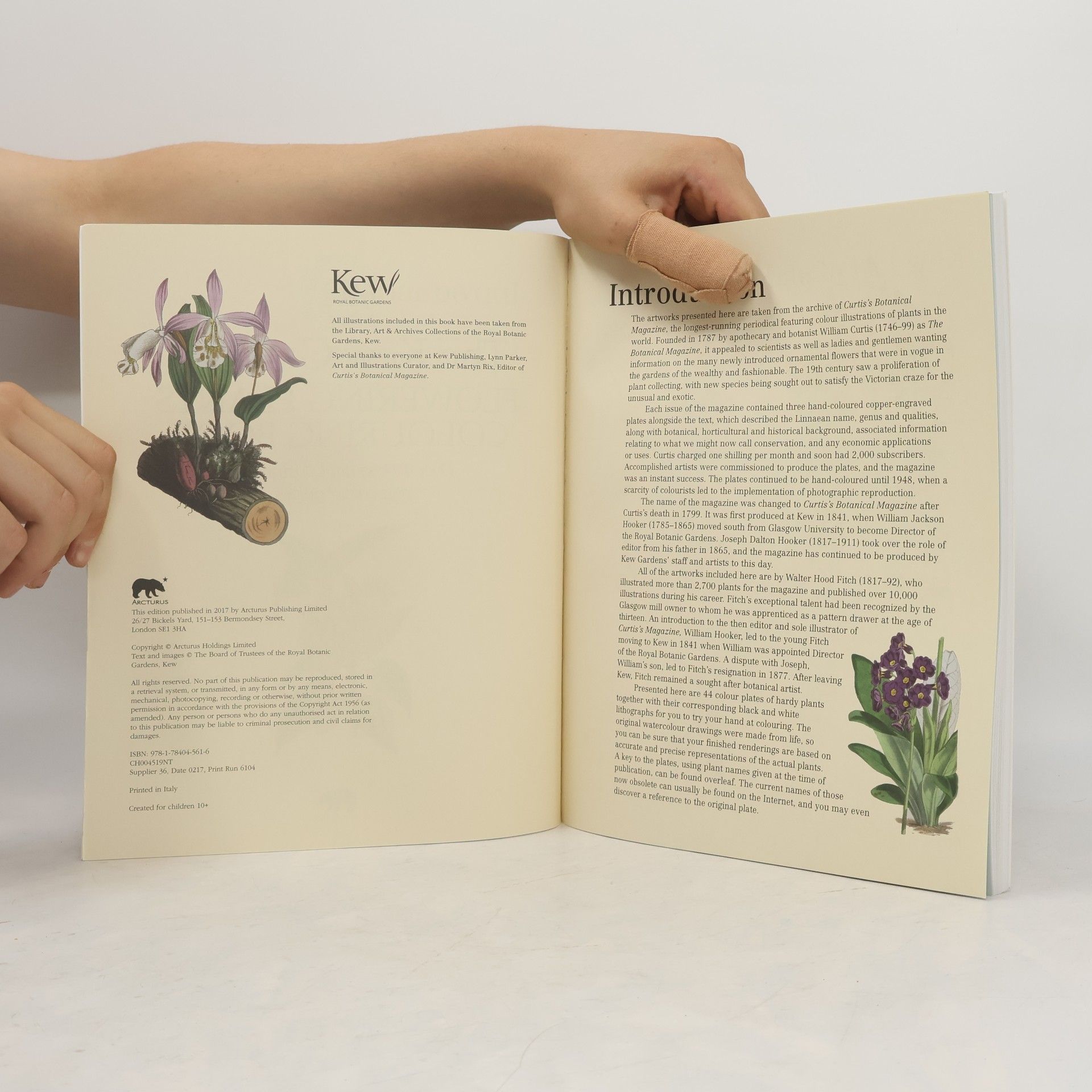 Arcturus Publishing The Kew Gardens Flowering Plants Colouring Book