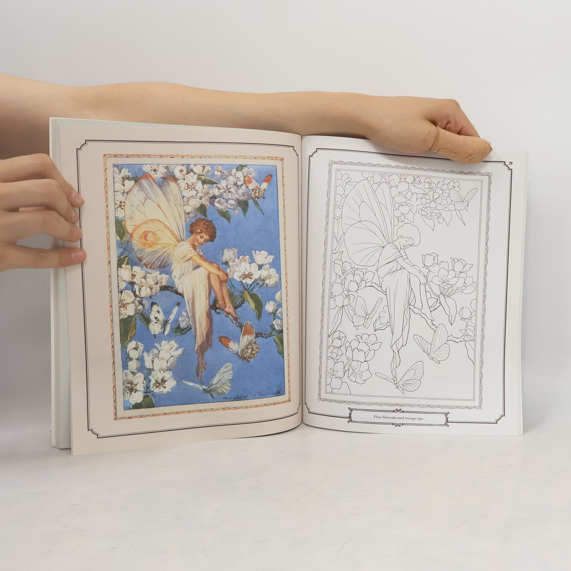 Margaret Tarrant Enchanting Fairies Colouring Book