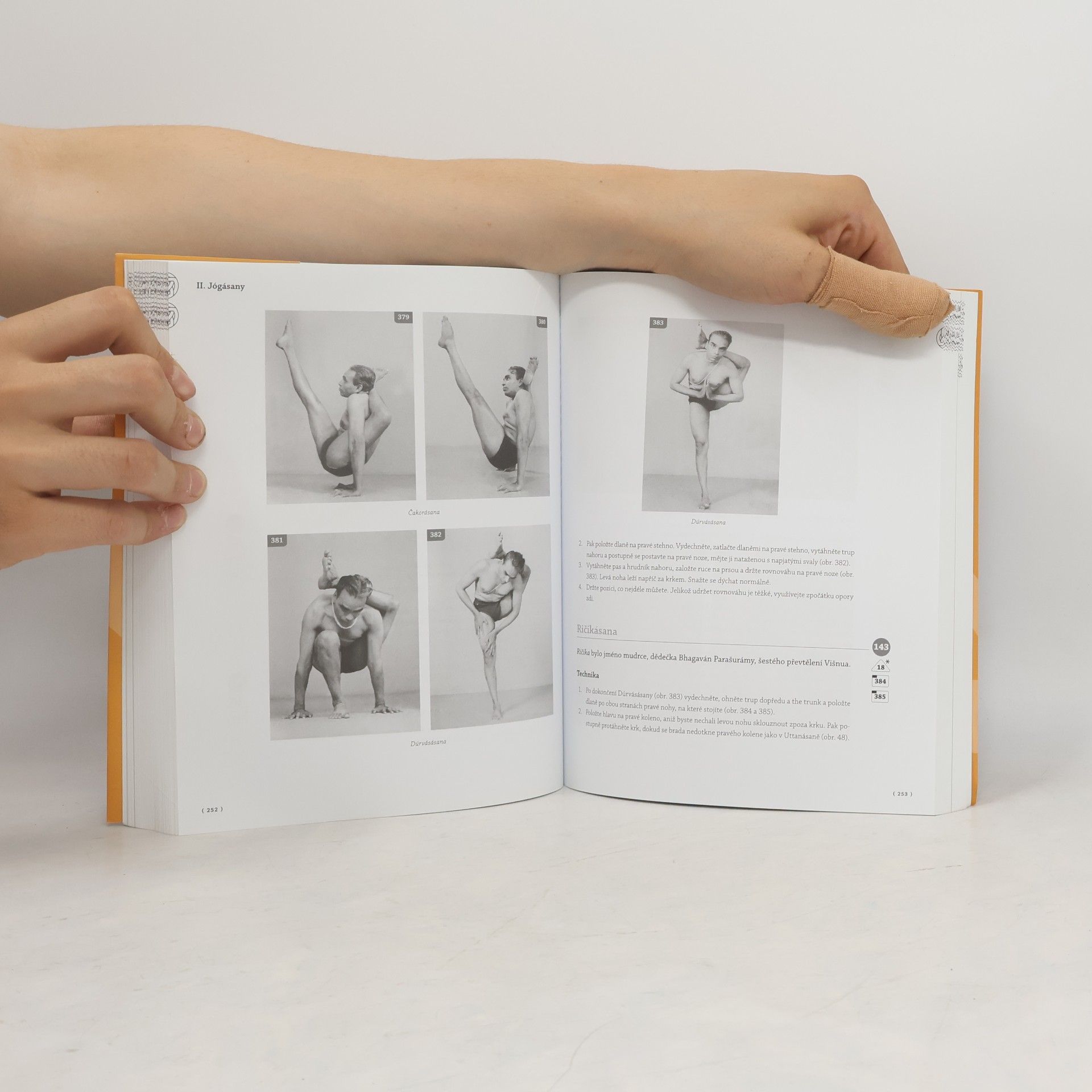 B. K. S. Iyengar Výklad jógy
