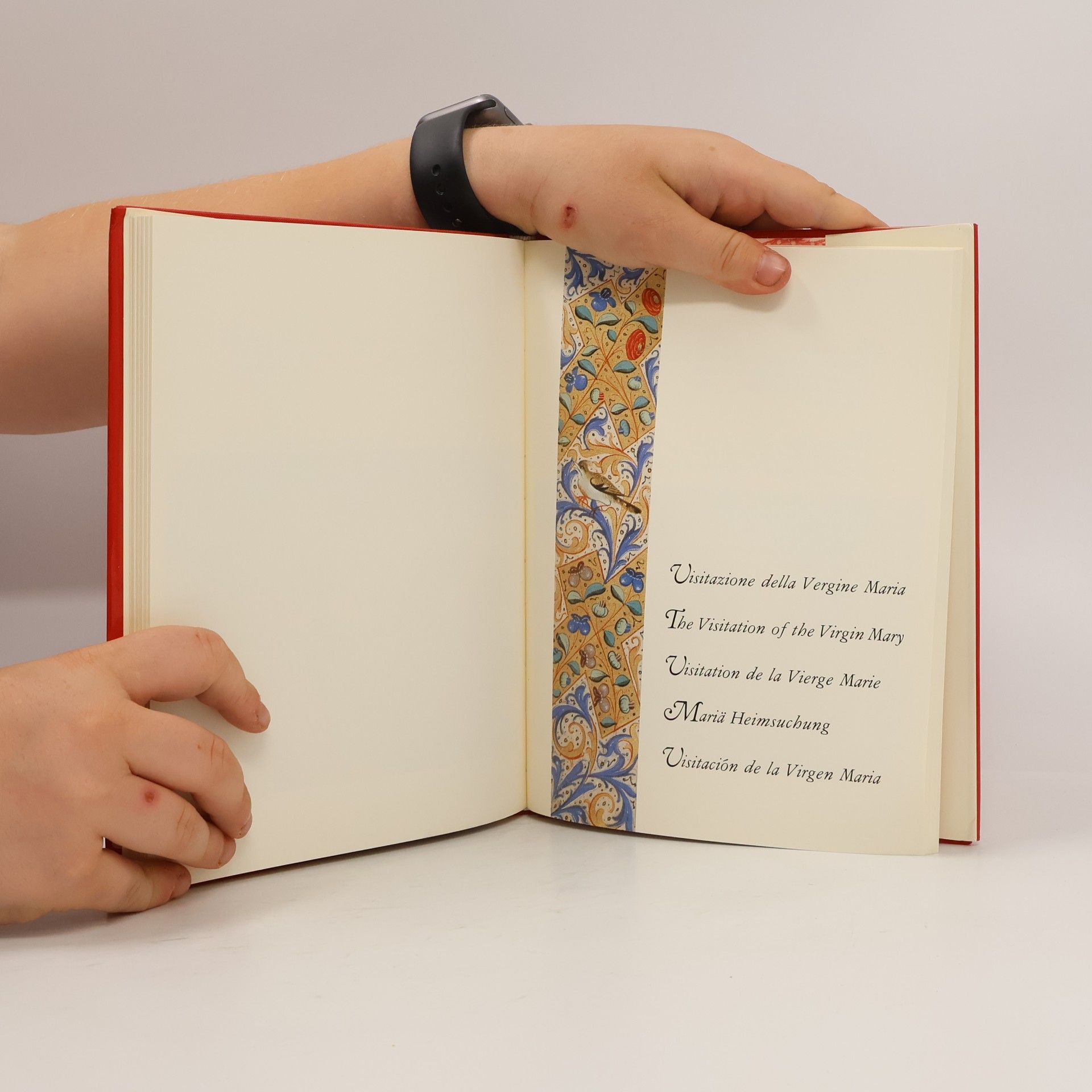Therese de Vos Codex Rhodensis de La Rochechinard