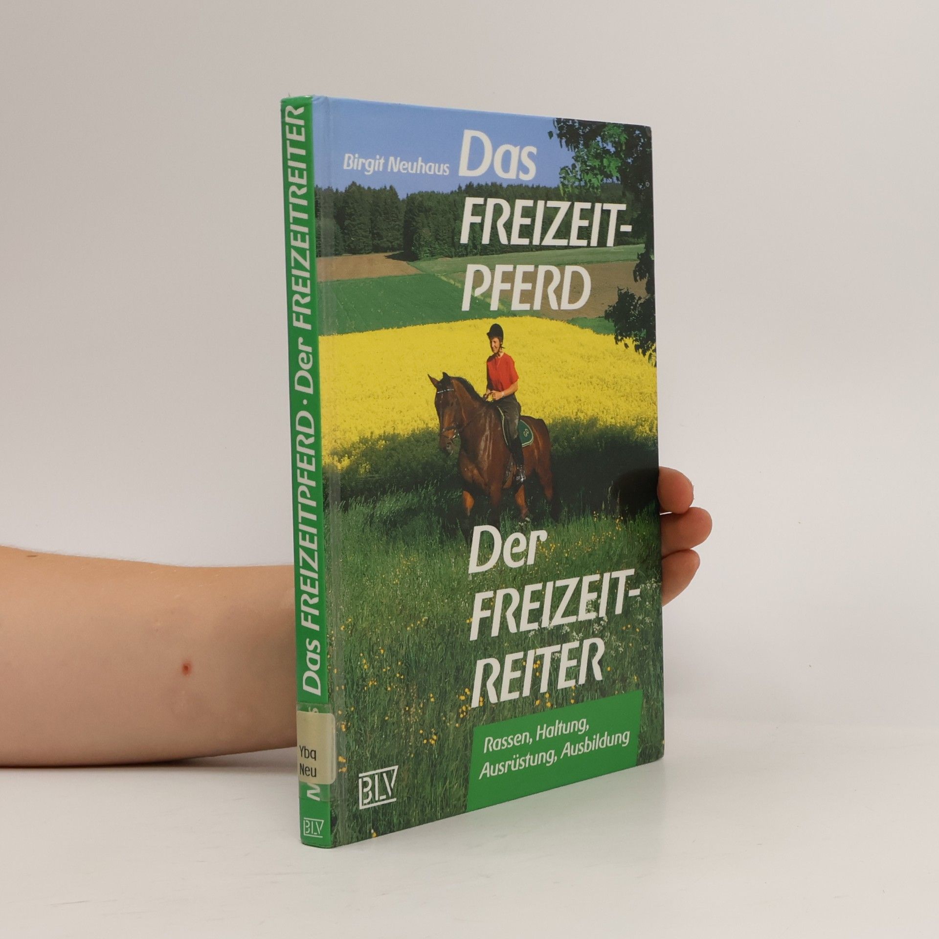 Birgit Neuhaus Das Freizeitpferd - der Freizeitreiter