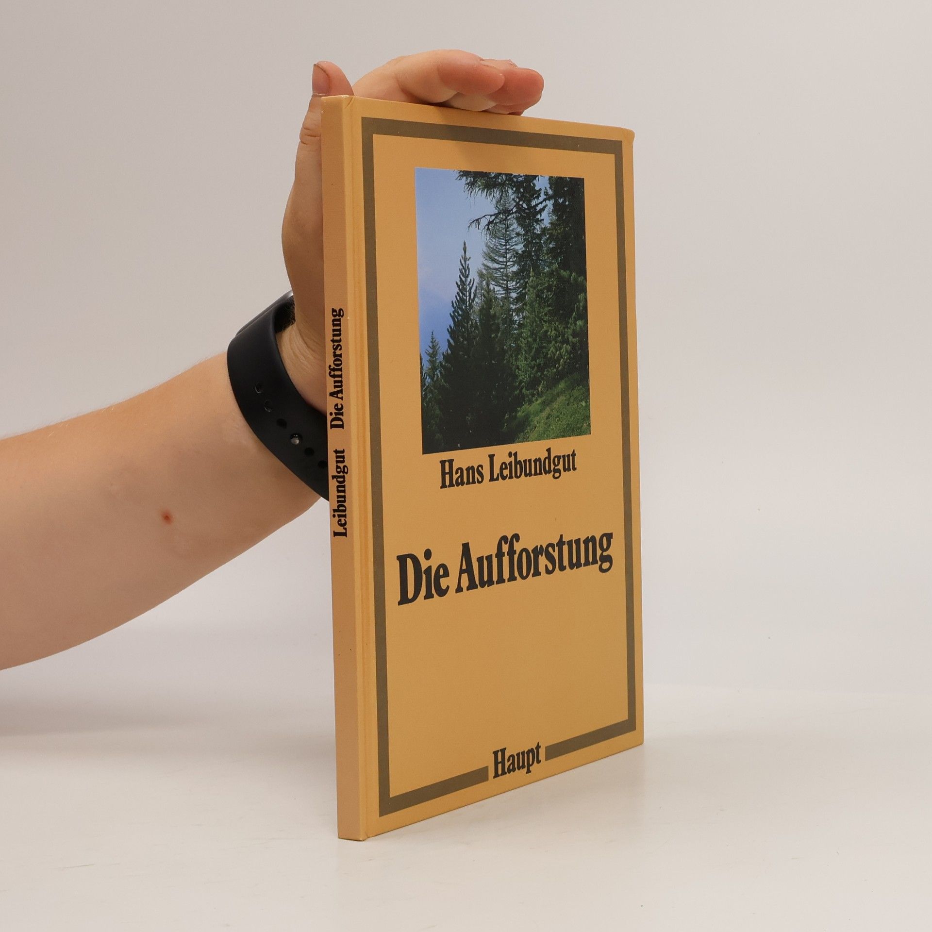 Hans Leibundgut Die Aufforstung