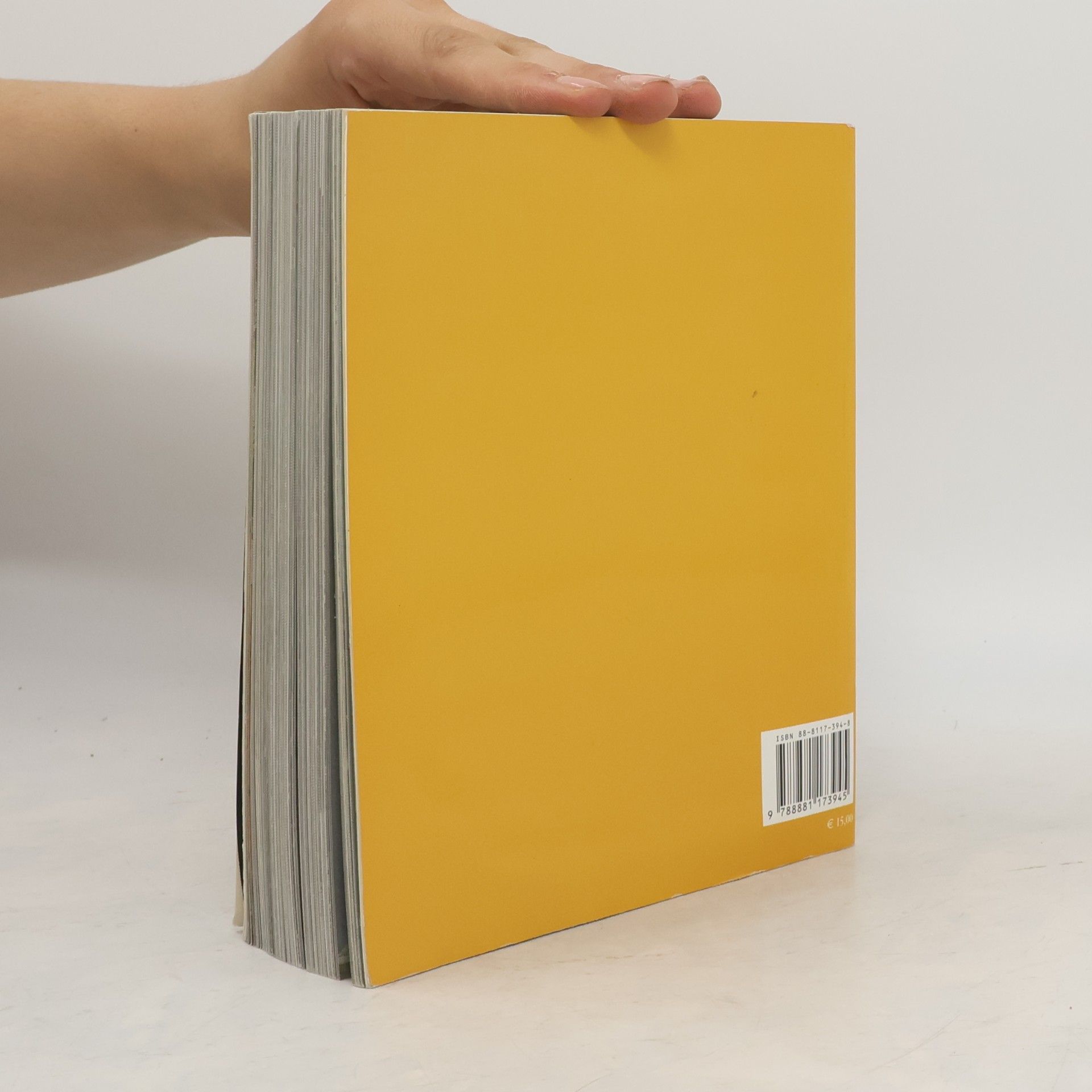 Autorenkollektiv Les grands maitres de l'art italien