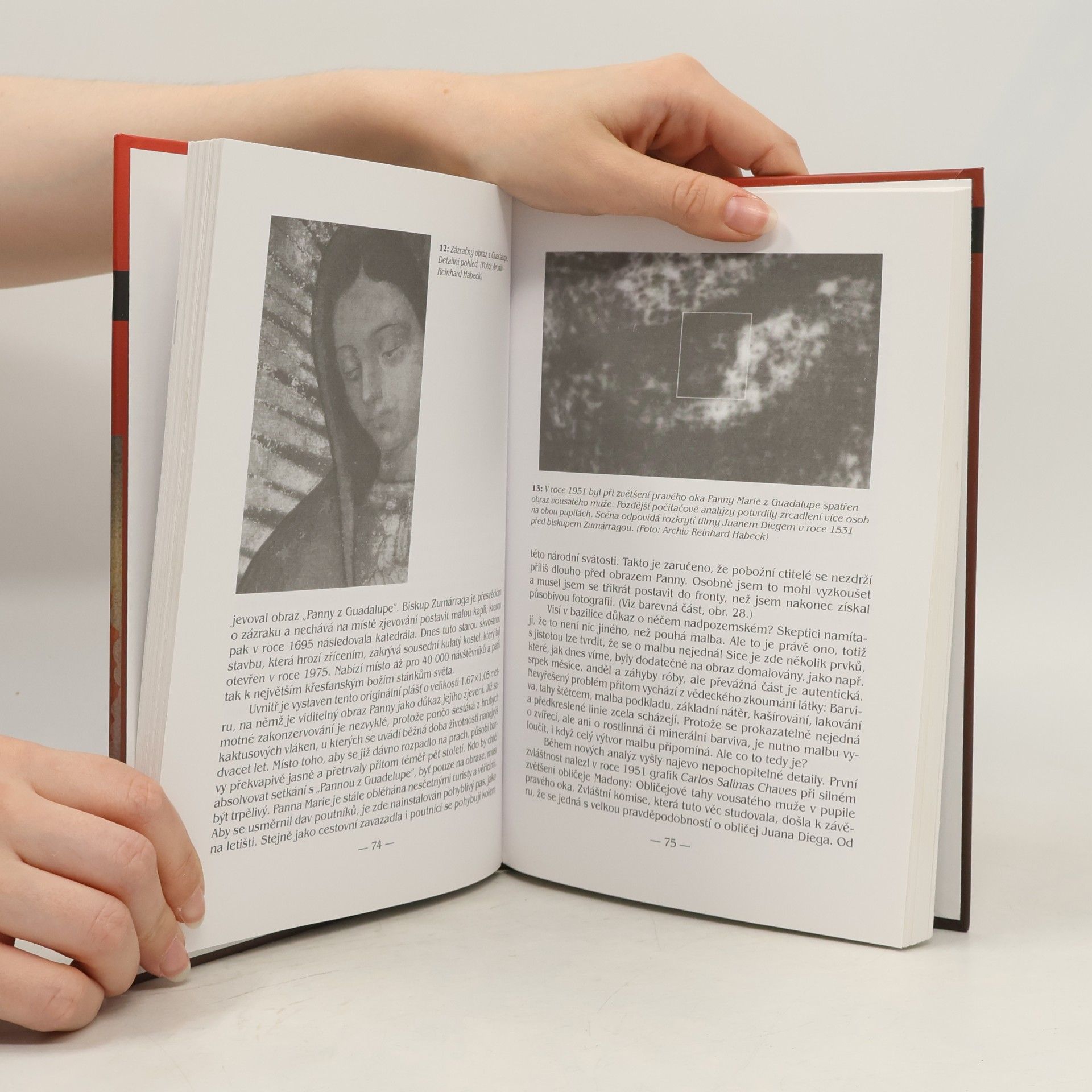 Reinhard Habeck Obrazy, které by neměly existovat: tajemné obrazy a fotografie z celého světa