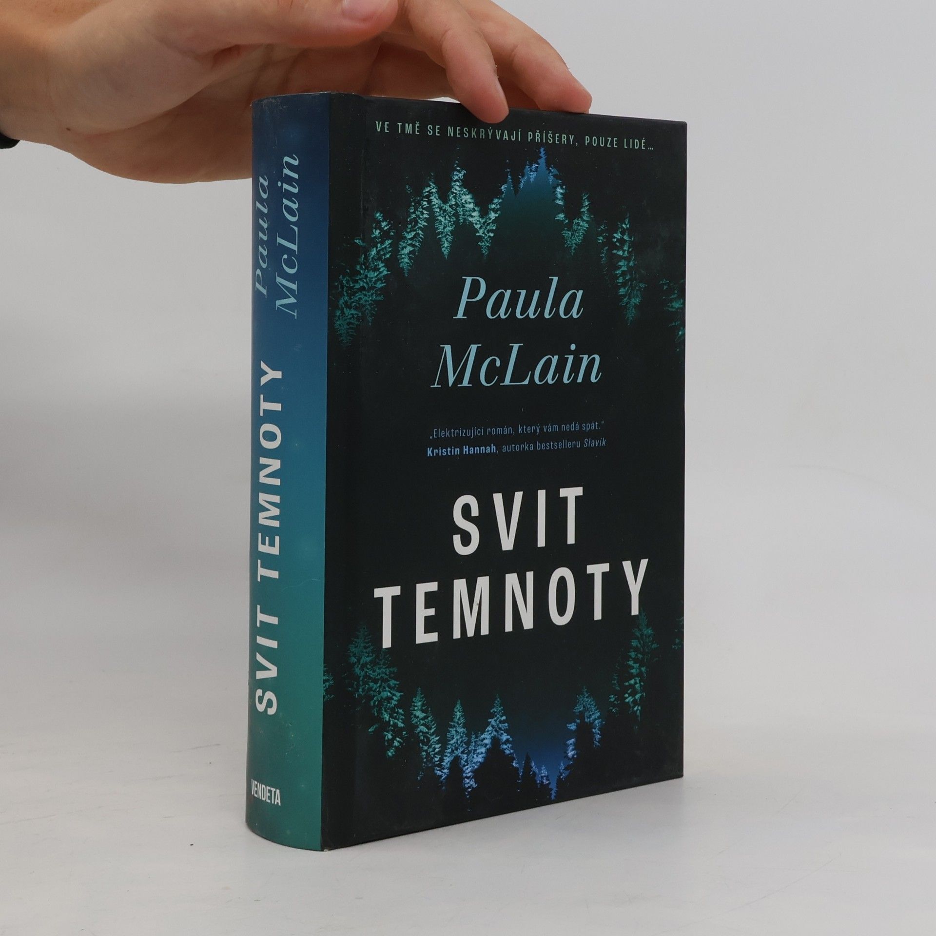 Paula McLain Svit temnoty