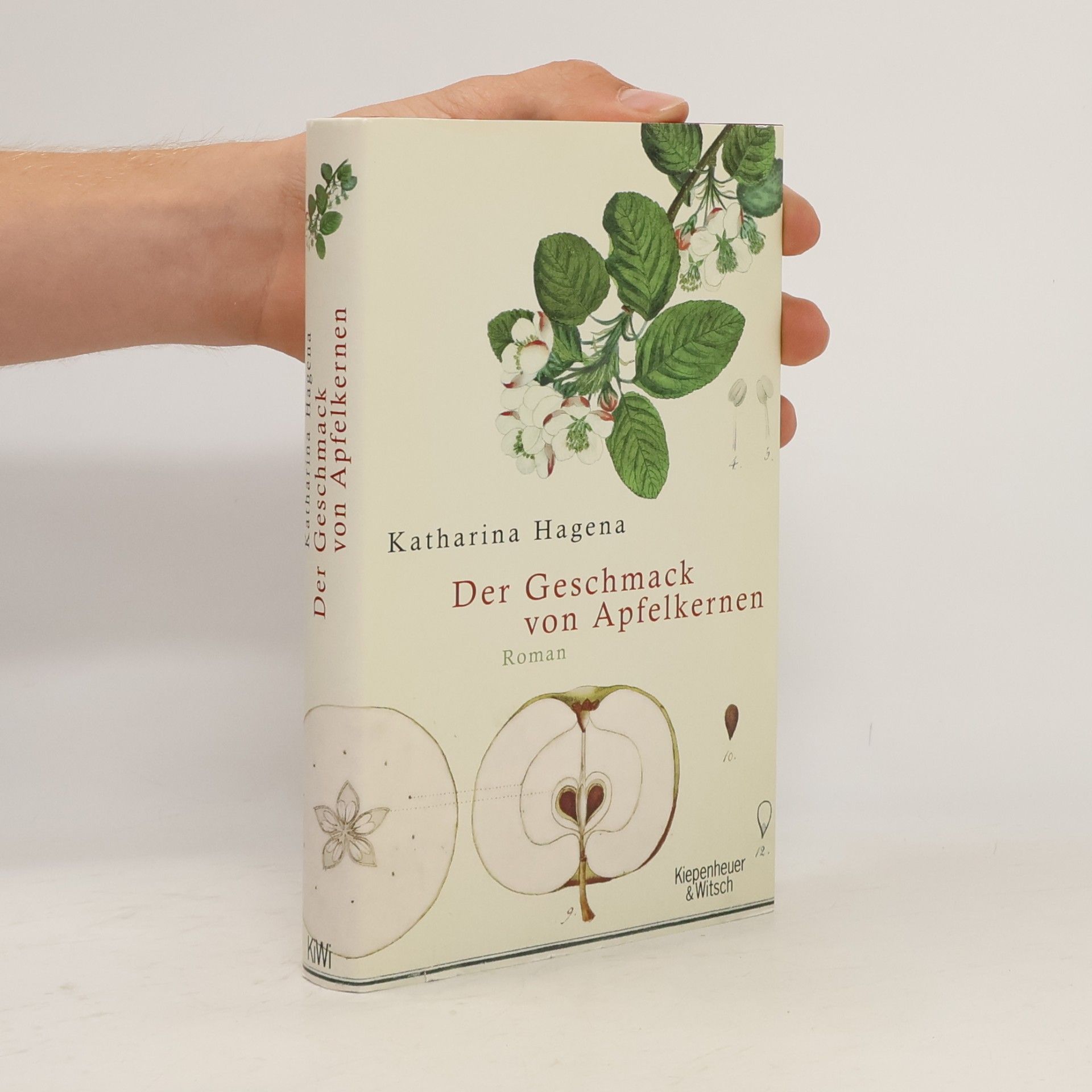 Katharina Hagena Der Geschmack von Apfelkernen