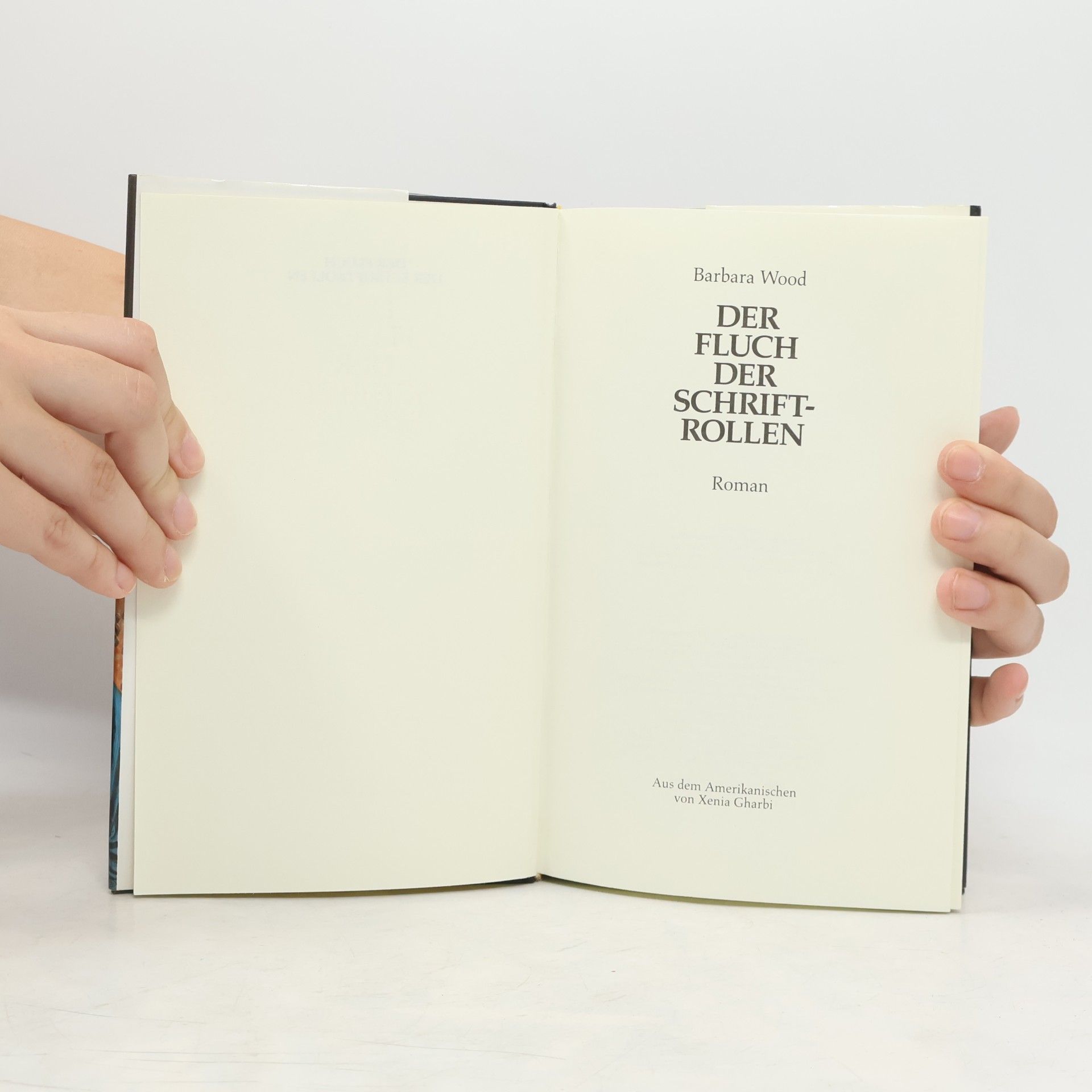 Barbara Wood Der Fluch der Schriftrollen