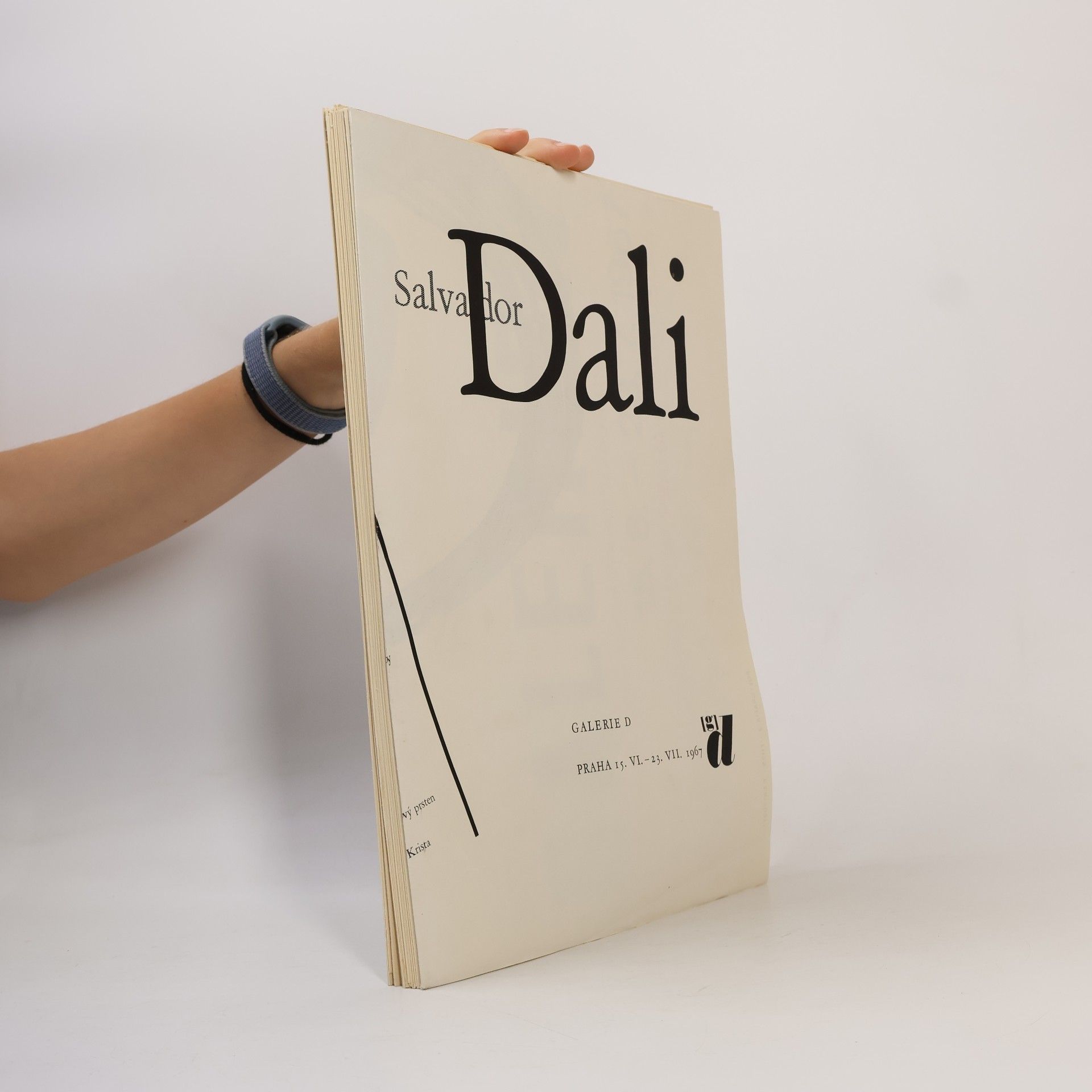 Kolektiv autorů Salvador Dali
