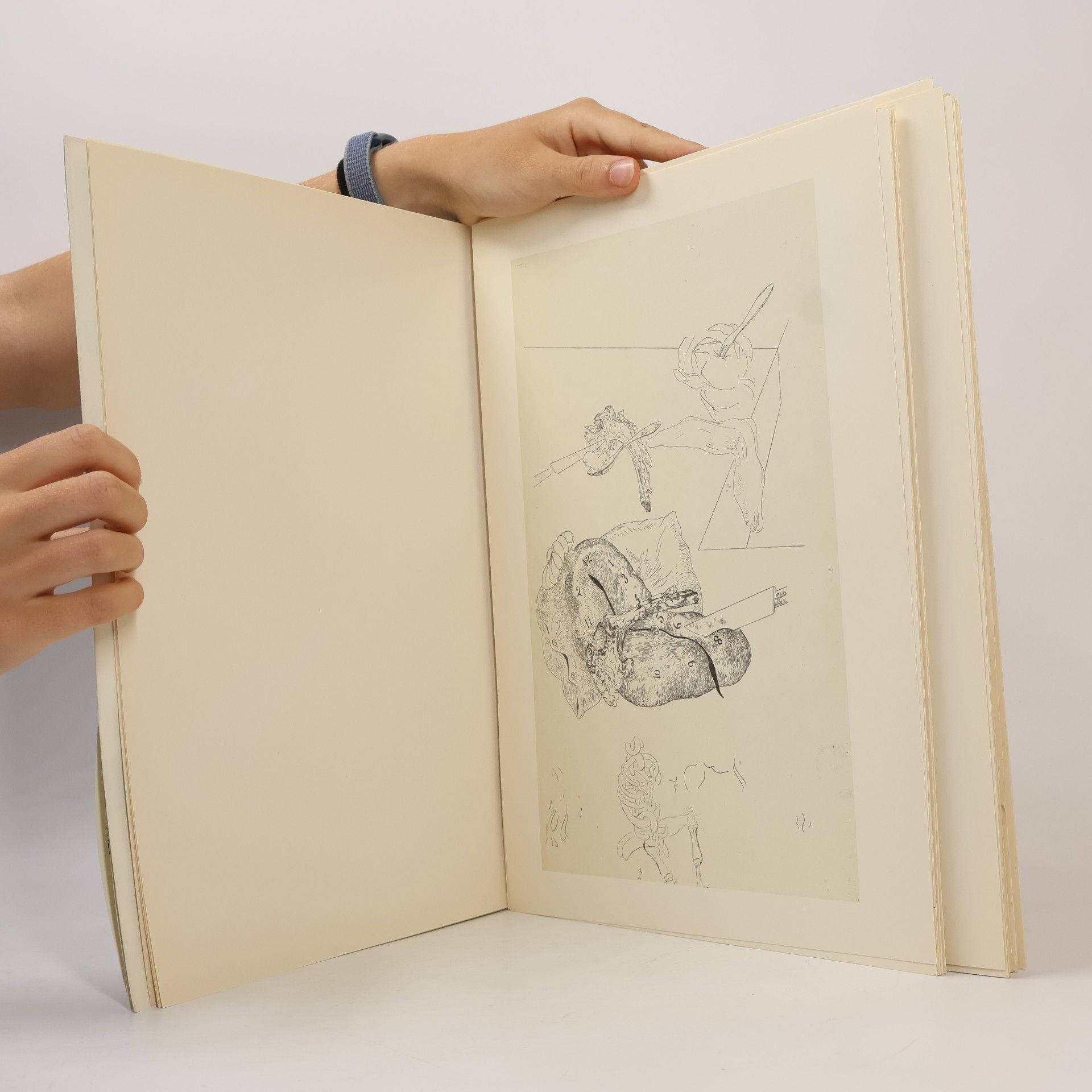 Kolektiv autorů Salvador Dali