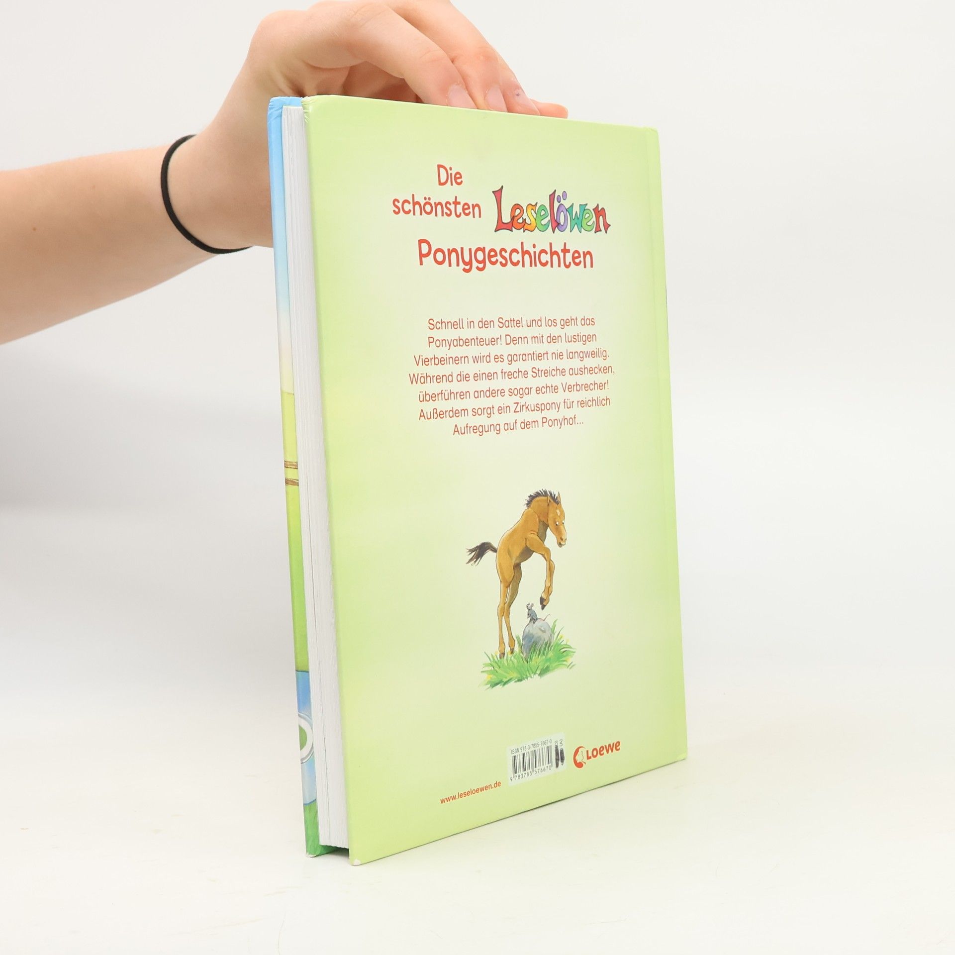 Autorenkollektiv Die schönsten Leselöwen Ponygeschichten