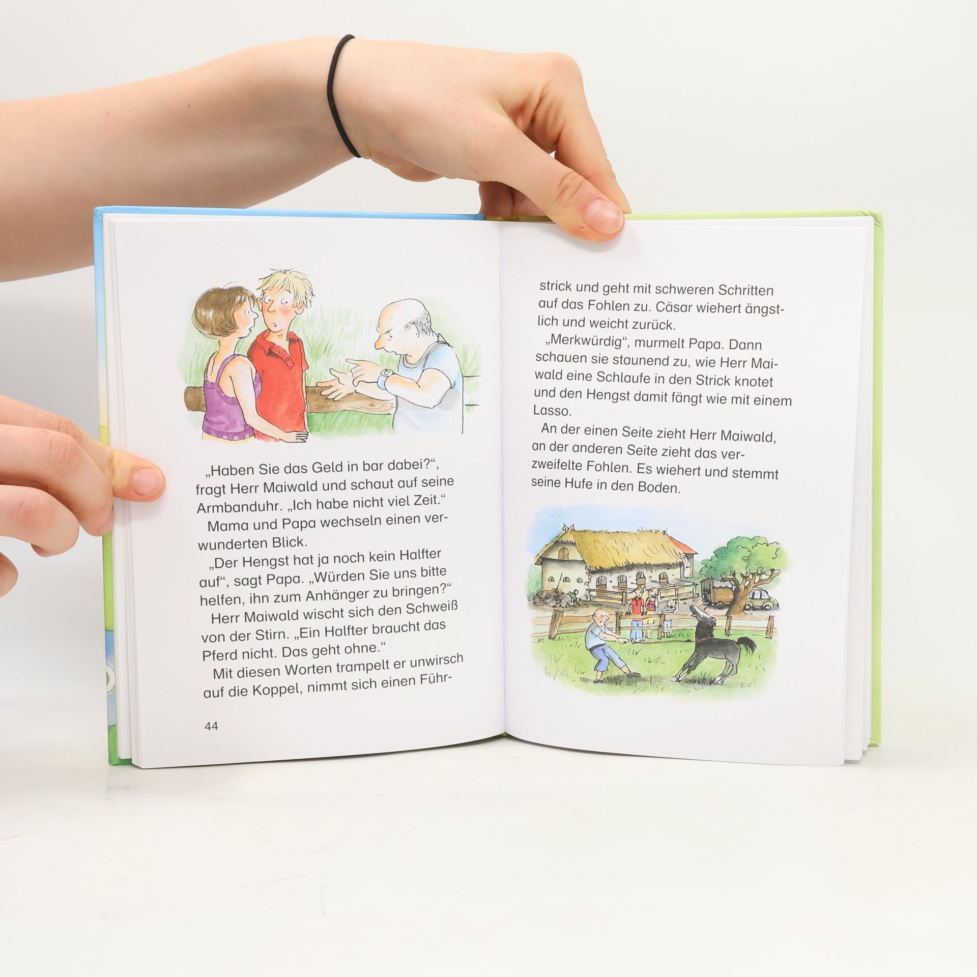 Autorenkollektiv Die schönsten Leselöwen Ponygeschichten
