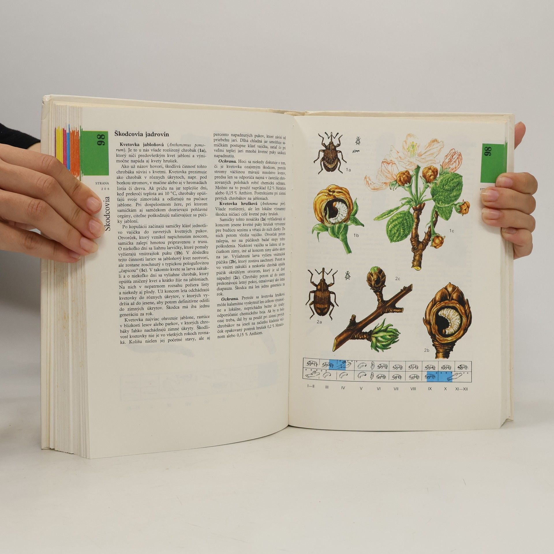 Gašpar Vanek Atlas chorôb a škodcov ovocných drevín a viniča