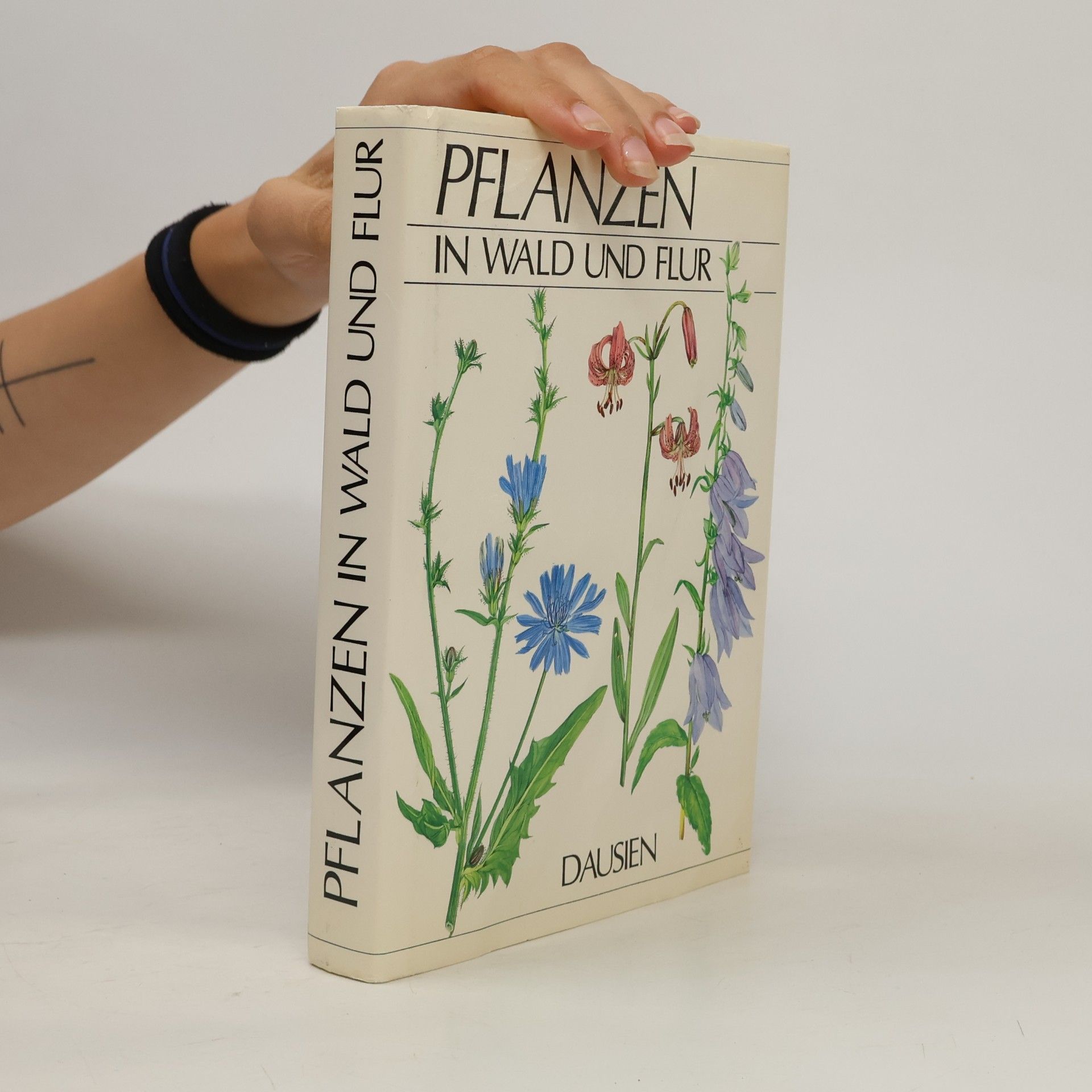 Pflanzen in Wald und Flur