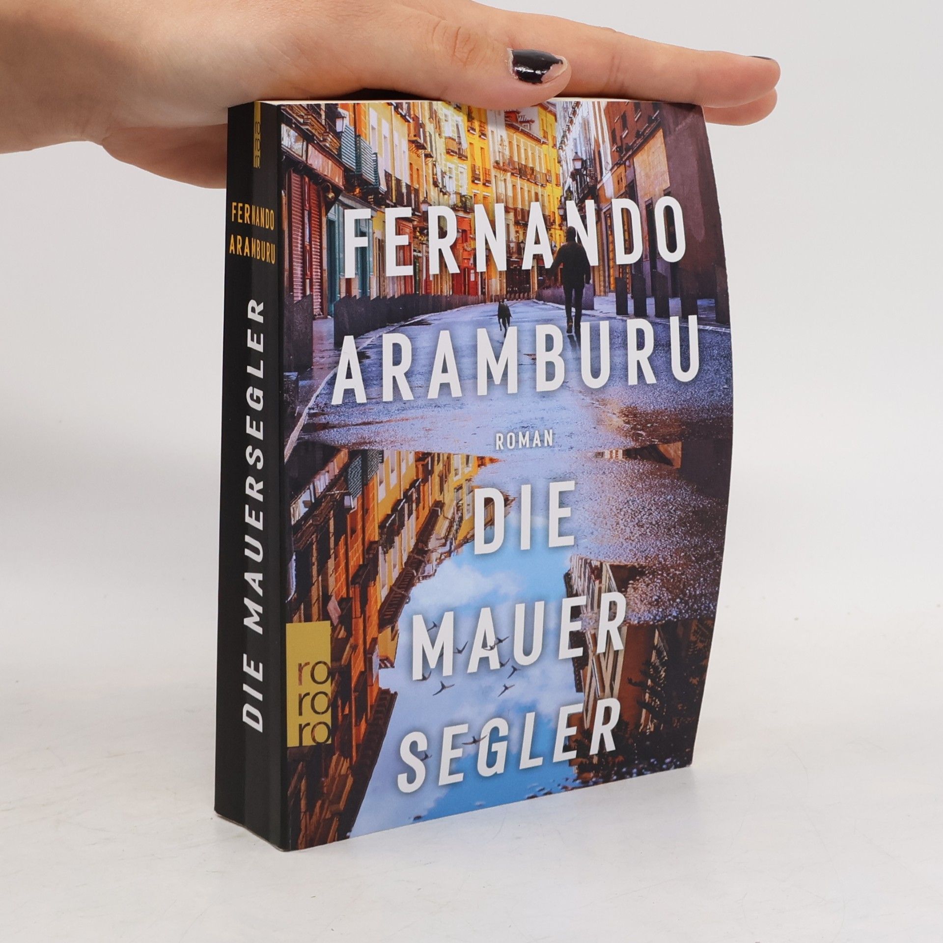 Fernando Aramburu Die Mauersegler
