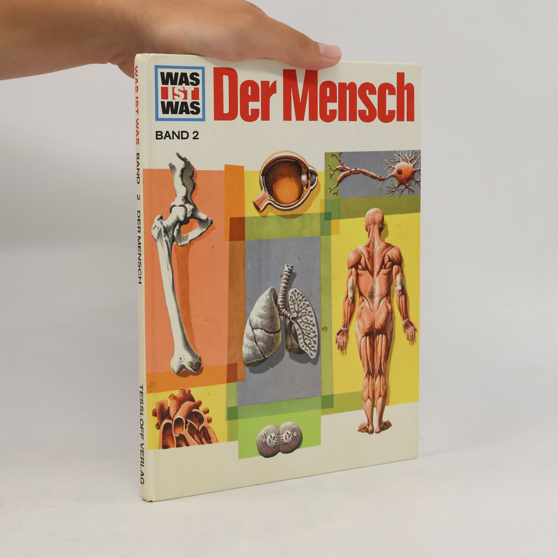 Signe Seiler Der Mensch