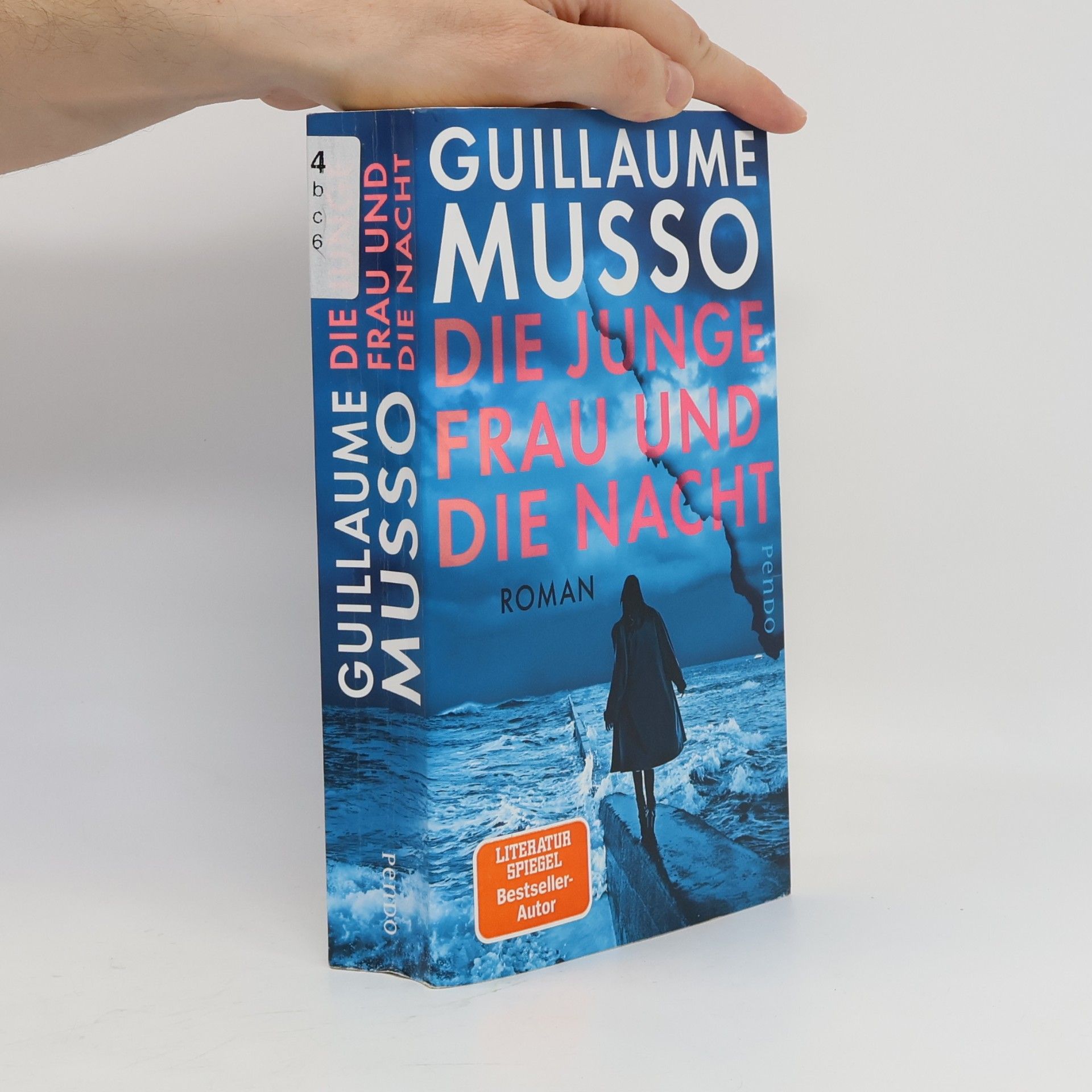 Guillaume Musso Die junge Frau und die Nacht