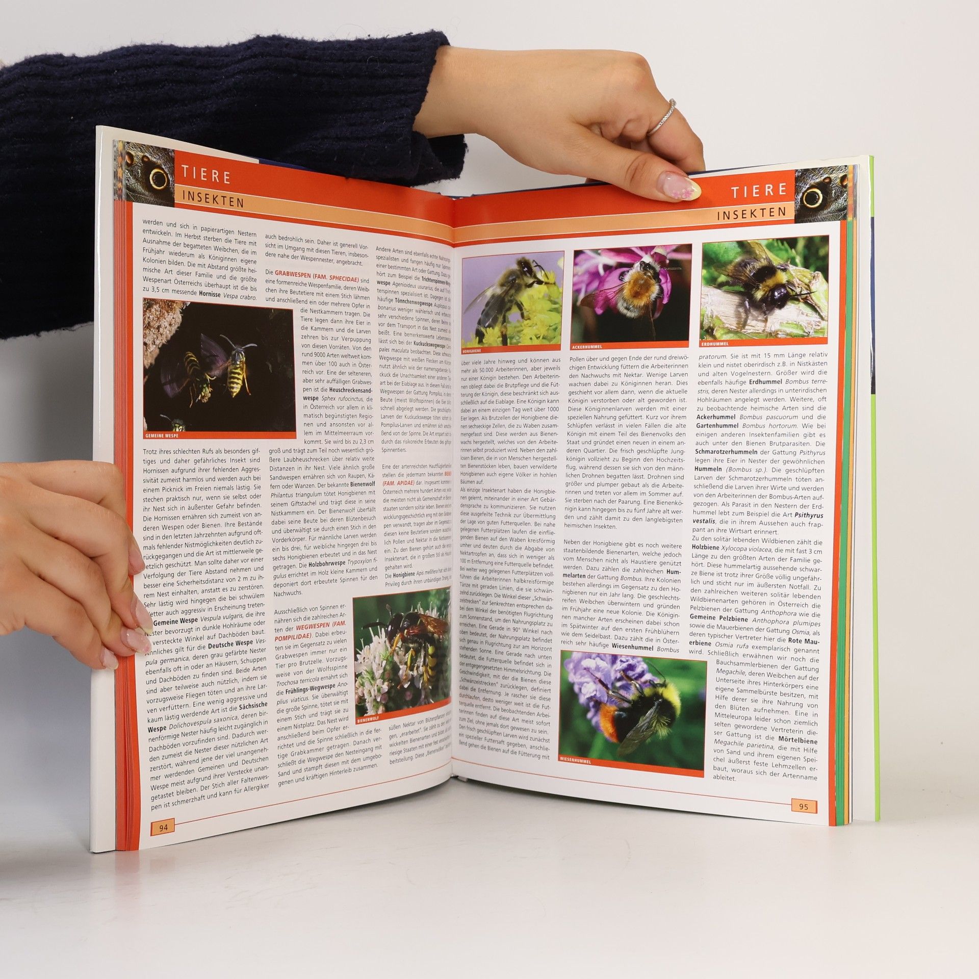Patrik Hierner Großes Naturbuch Österreich
