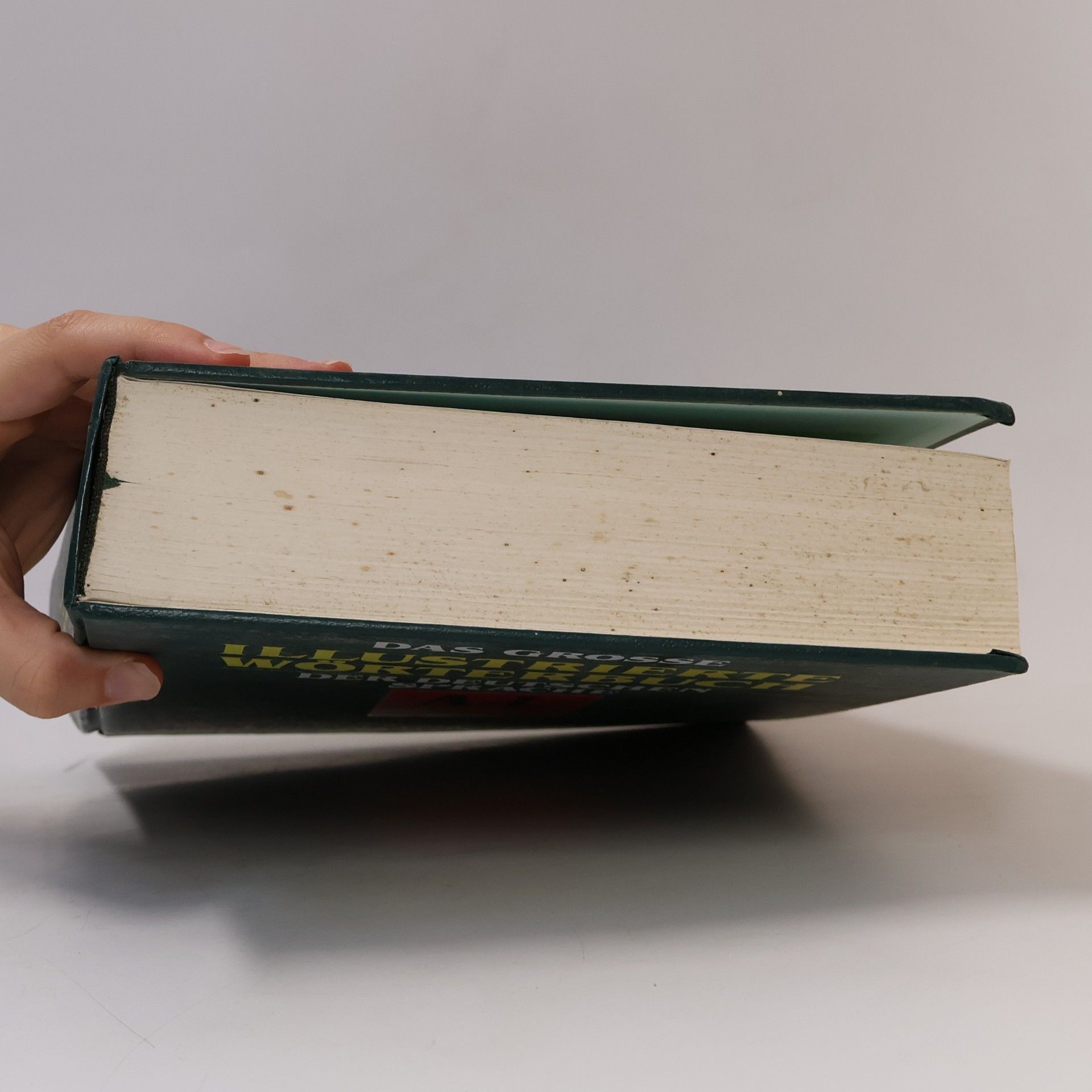 Autorenkollektiv Das grosse illustrierte Wörterbuch der deutschen Sprache A-L
