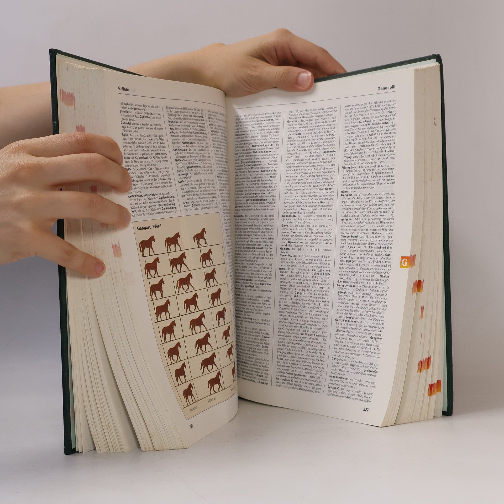 Autorenkollektiv Das grosse illustrierte Wörterbuch der deutschen Sprache A-L