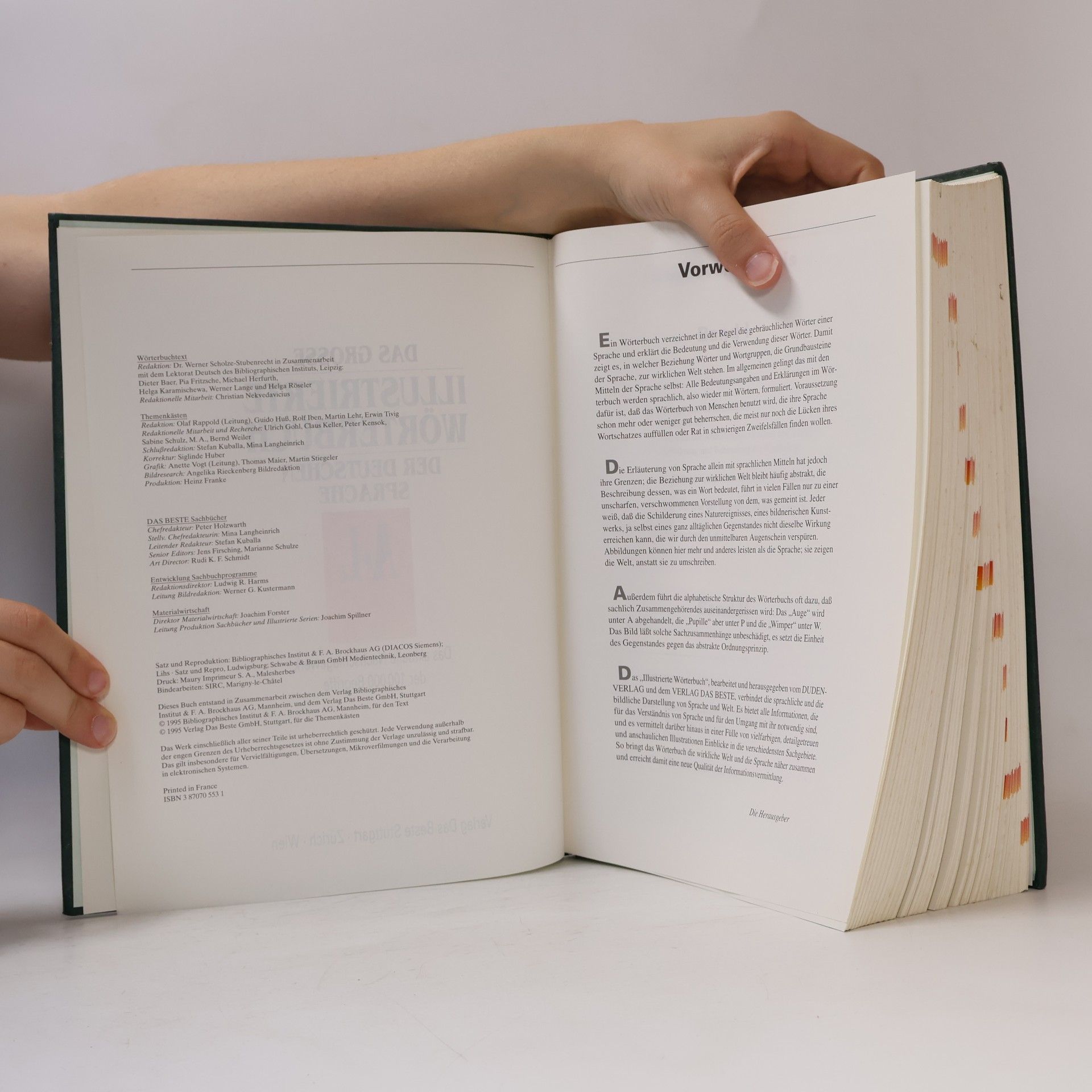 Autorenkollektiv Das grosse illustrierte Wörterbuch der deutschen Sprache A-L