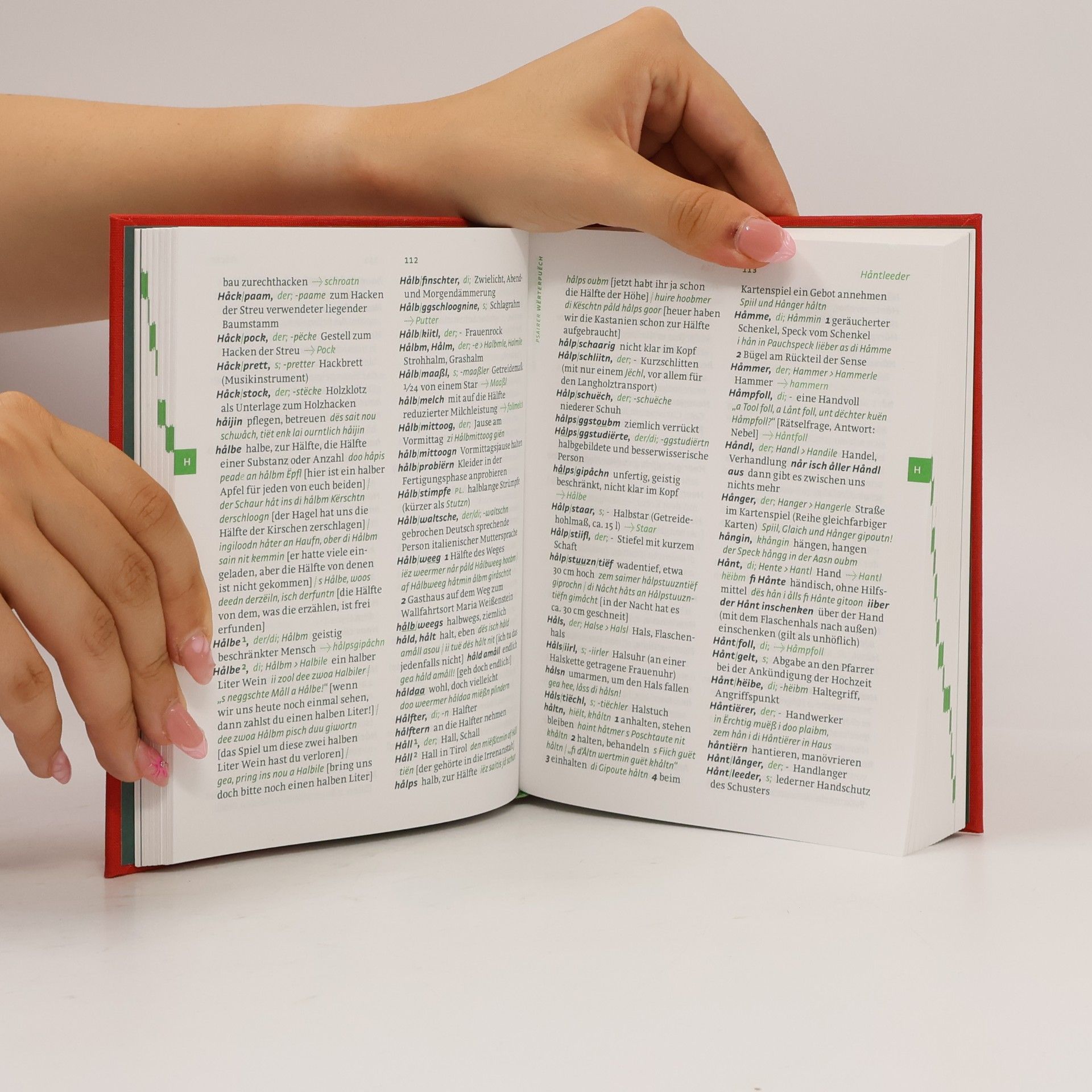 Harald Haller Passeirer Wörterbuch