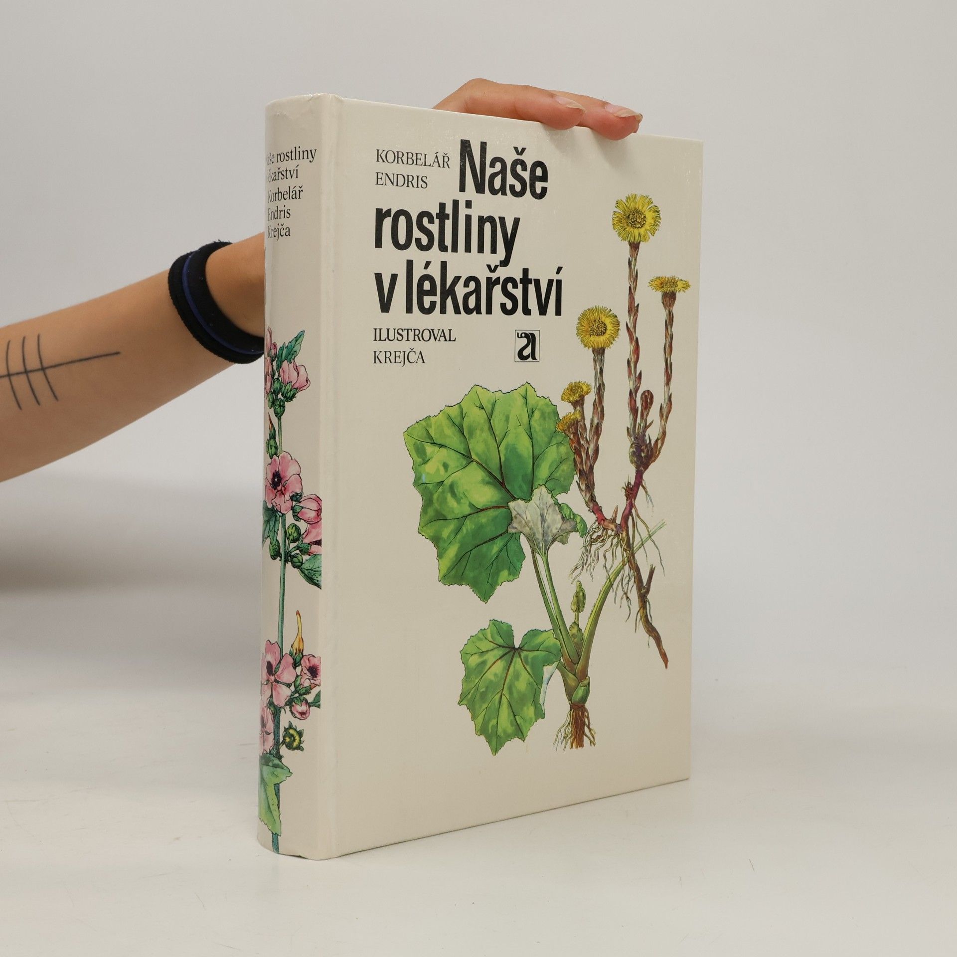 Jaroslav Korbelář Naše rostliny v lékařství