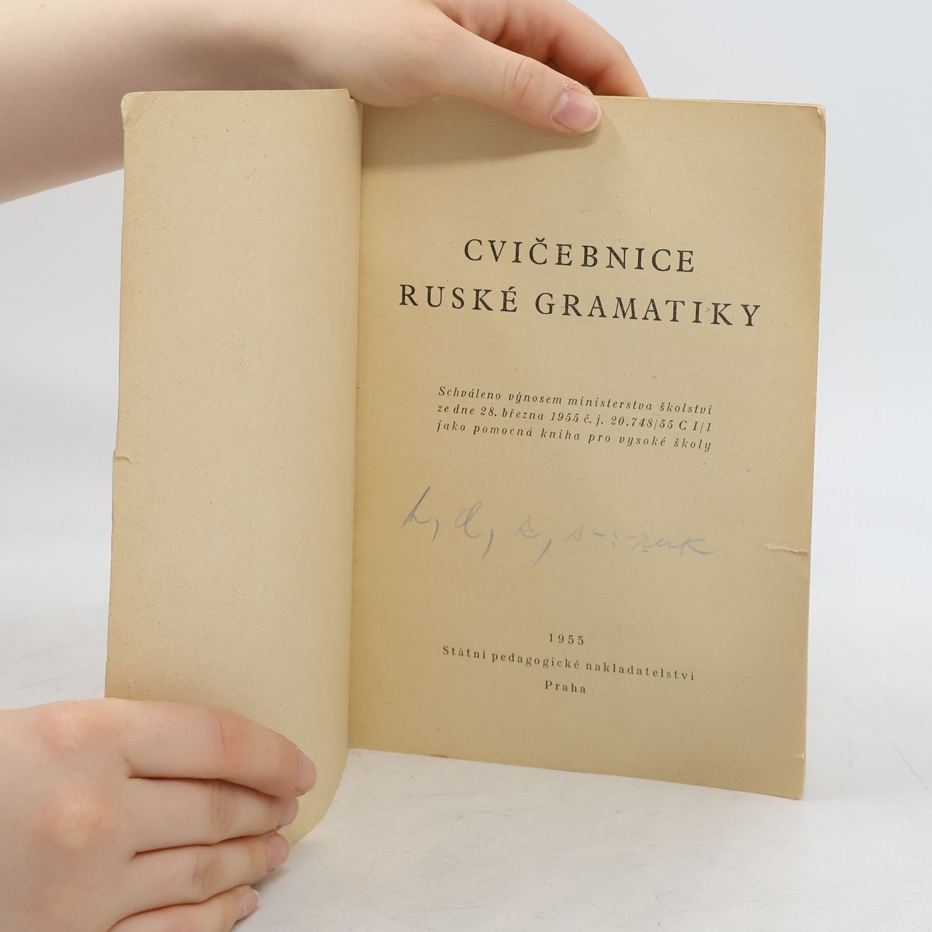 Kolektív autorov Cvičebnice ruské gramatiky