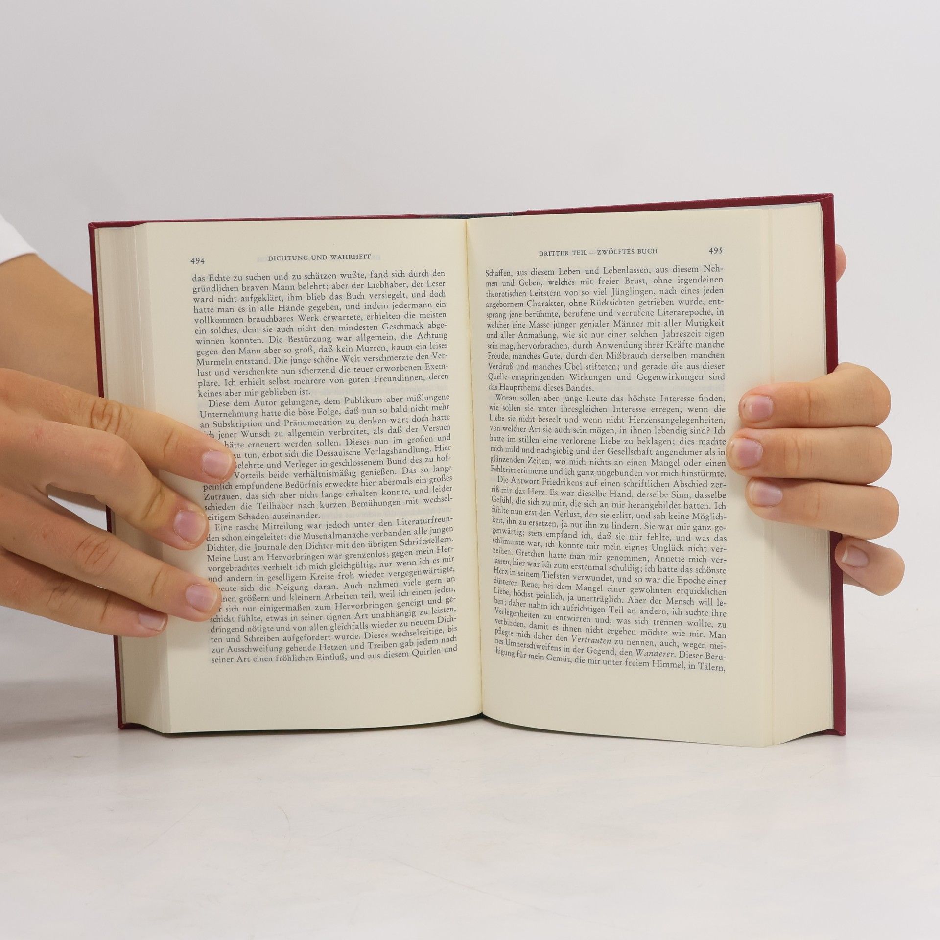 Johann Wolfgang von Goethe Goethe Werke 6