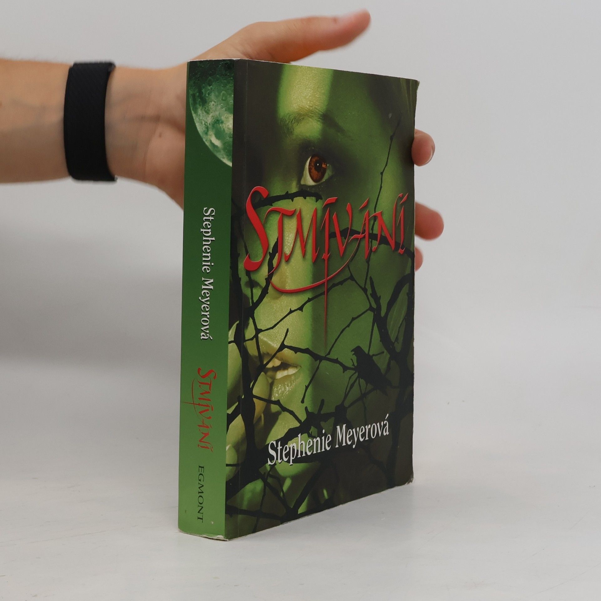 Stephenie Meyer Stmívání