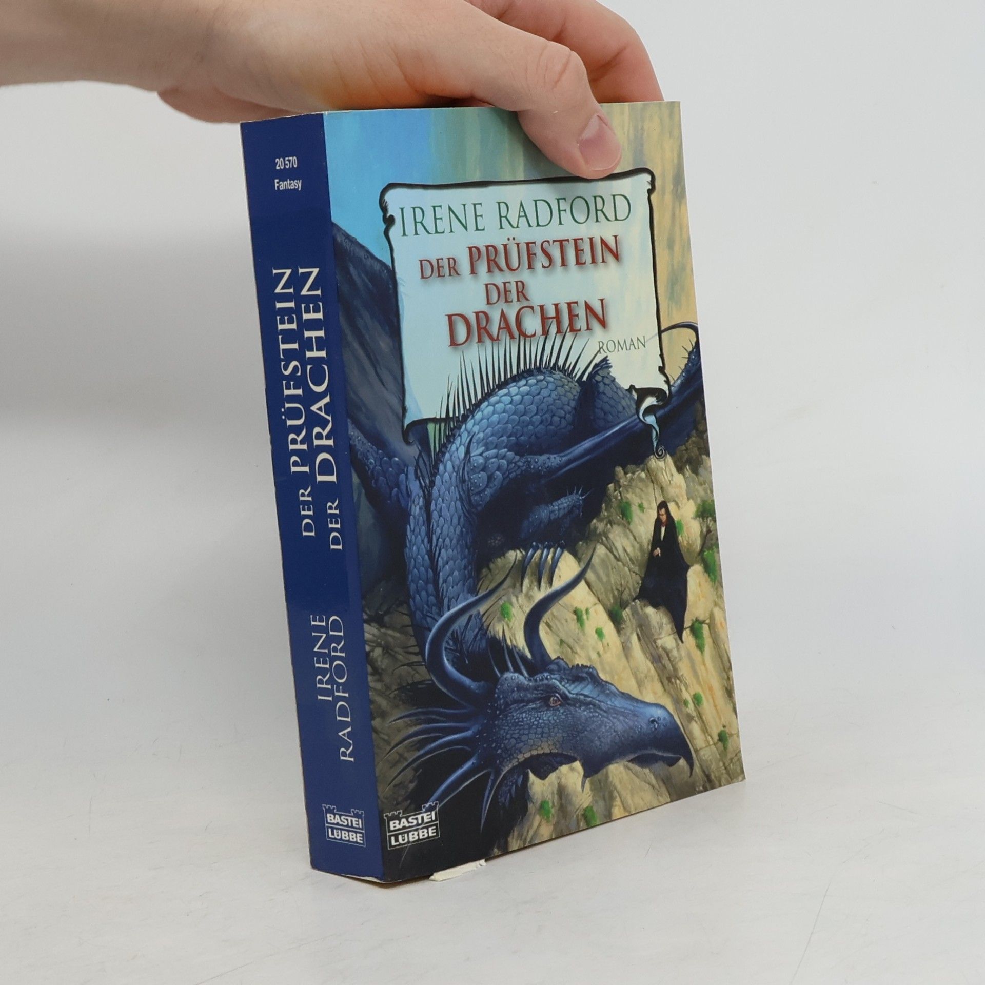 Irene Radford Der Prüfstein der Drachen