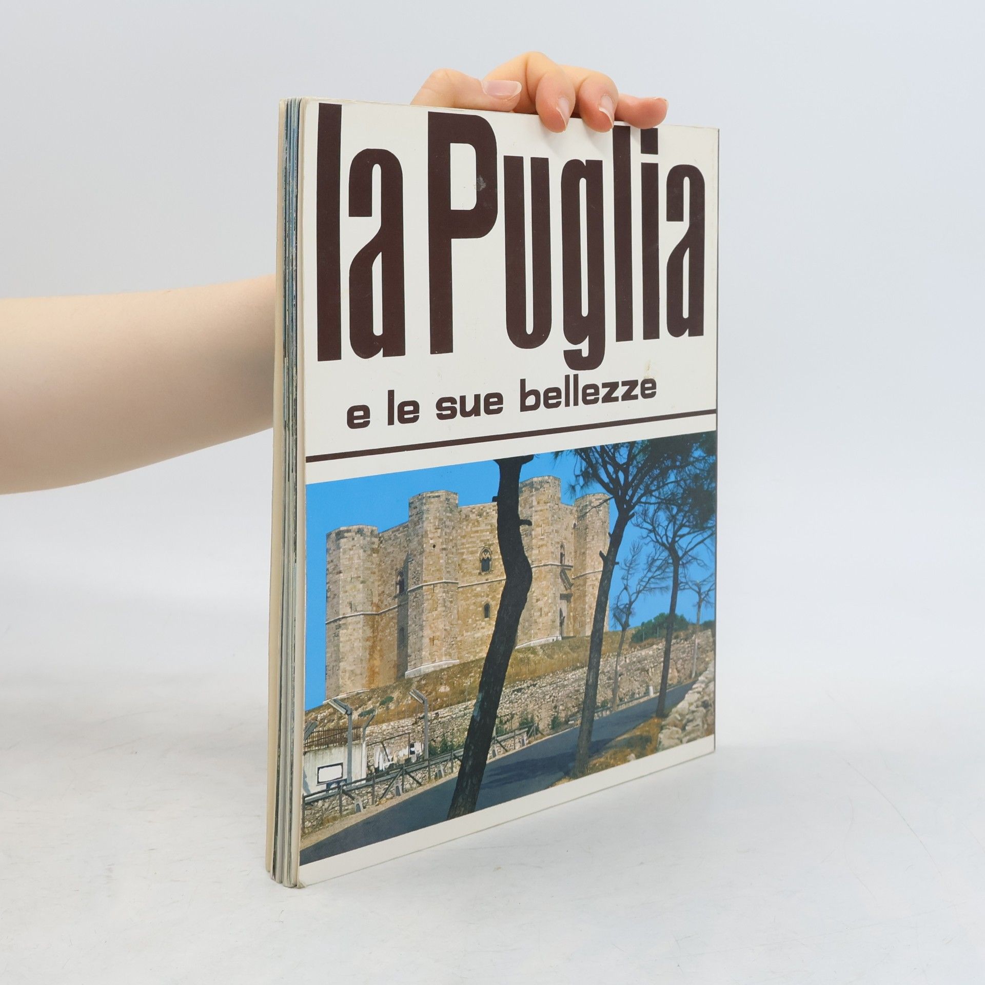 Kolektív autorov La Puglia