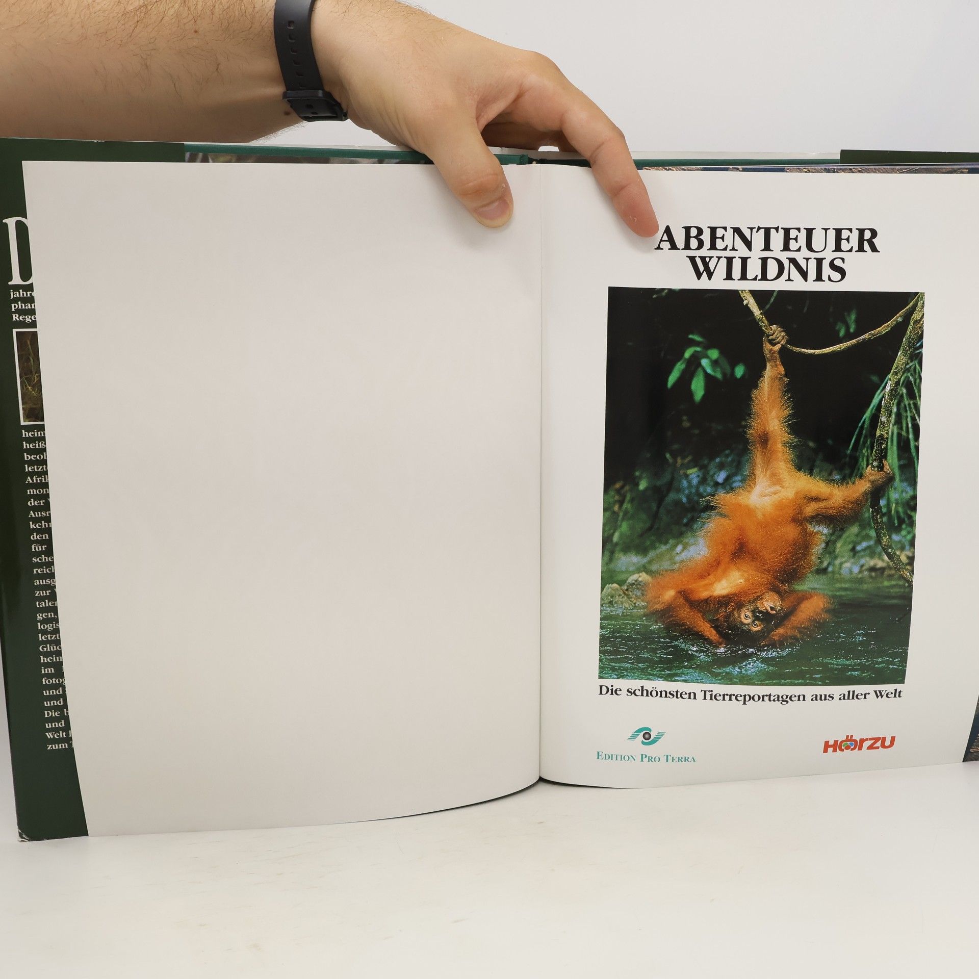 Kolektiv autorů Abenteuer Wildnis. Die schönsten Tierreportagen aus aller Welt