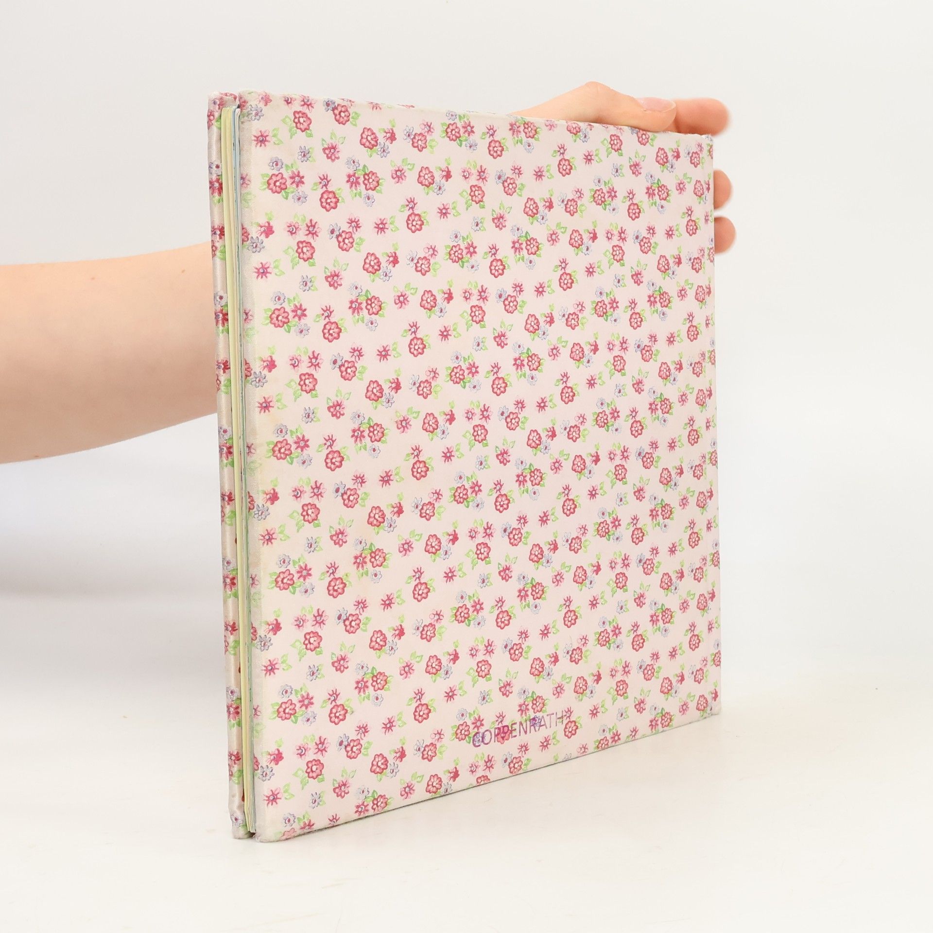Collectif d'auteurs Prinzessin Lillifee und kleine Reh