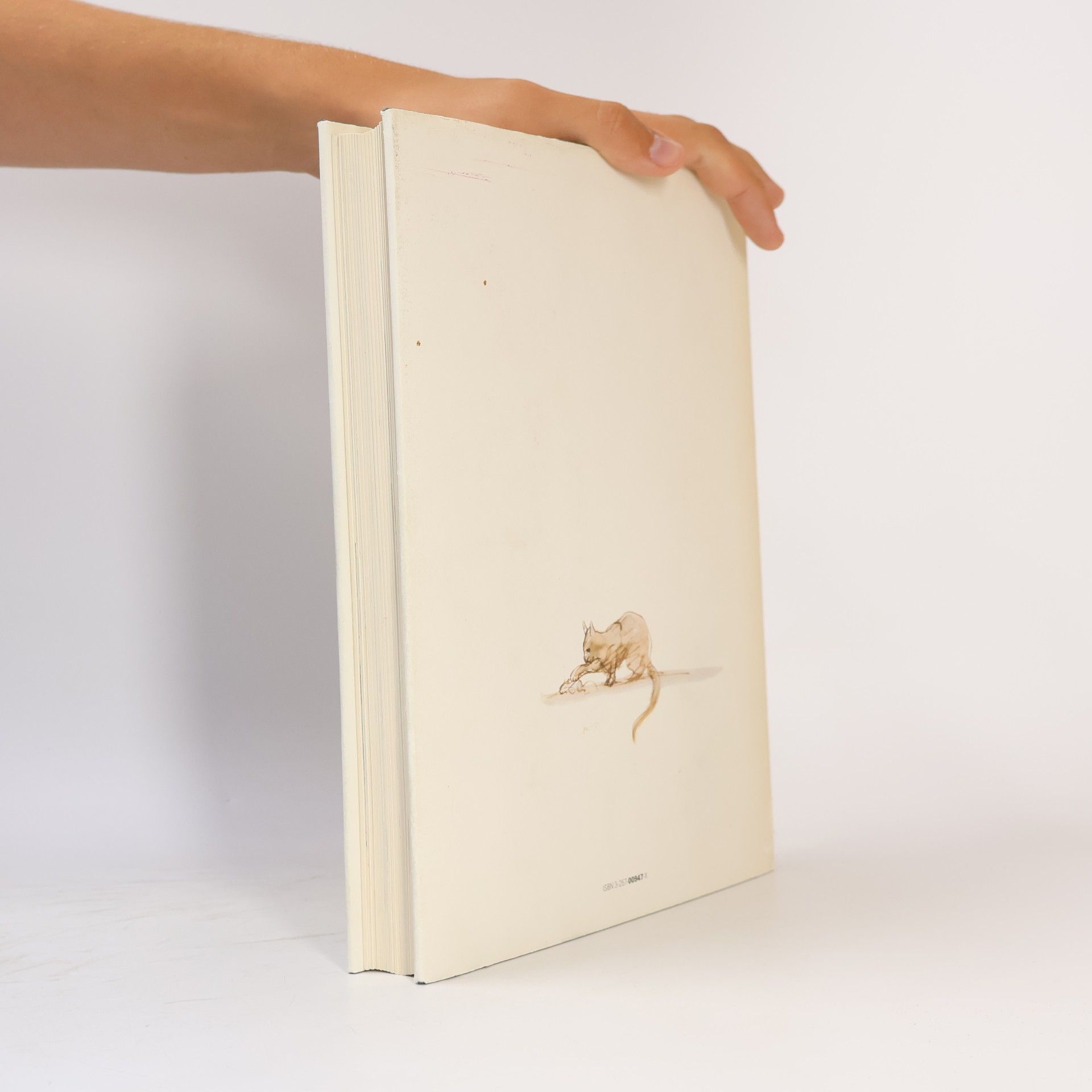 Anne Diekmann Das grosse Liederbuch