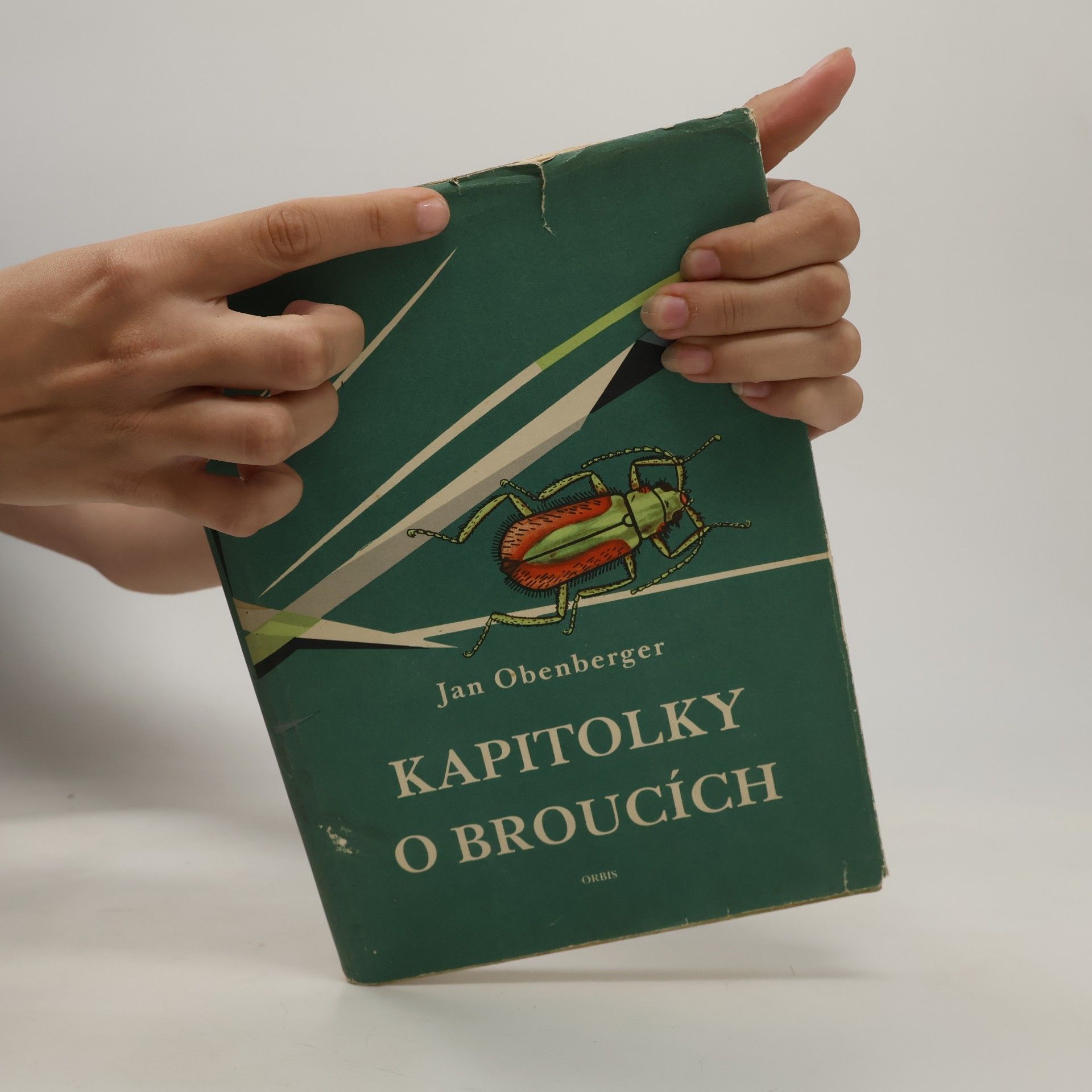 Jan Obenberger Kapitolky o broucích