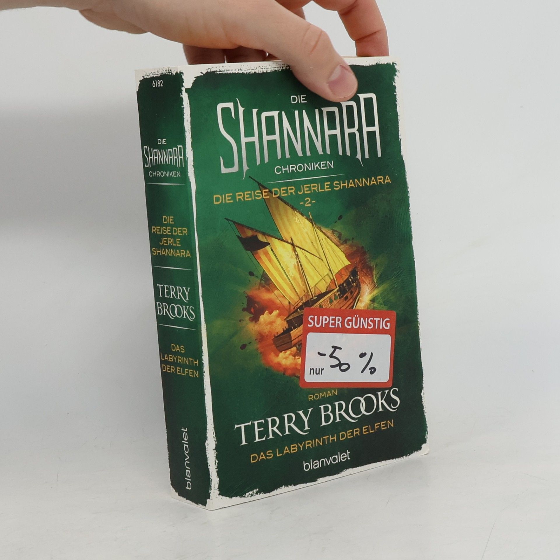 Terry Brooks Das Labyrinth der Elfen